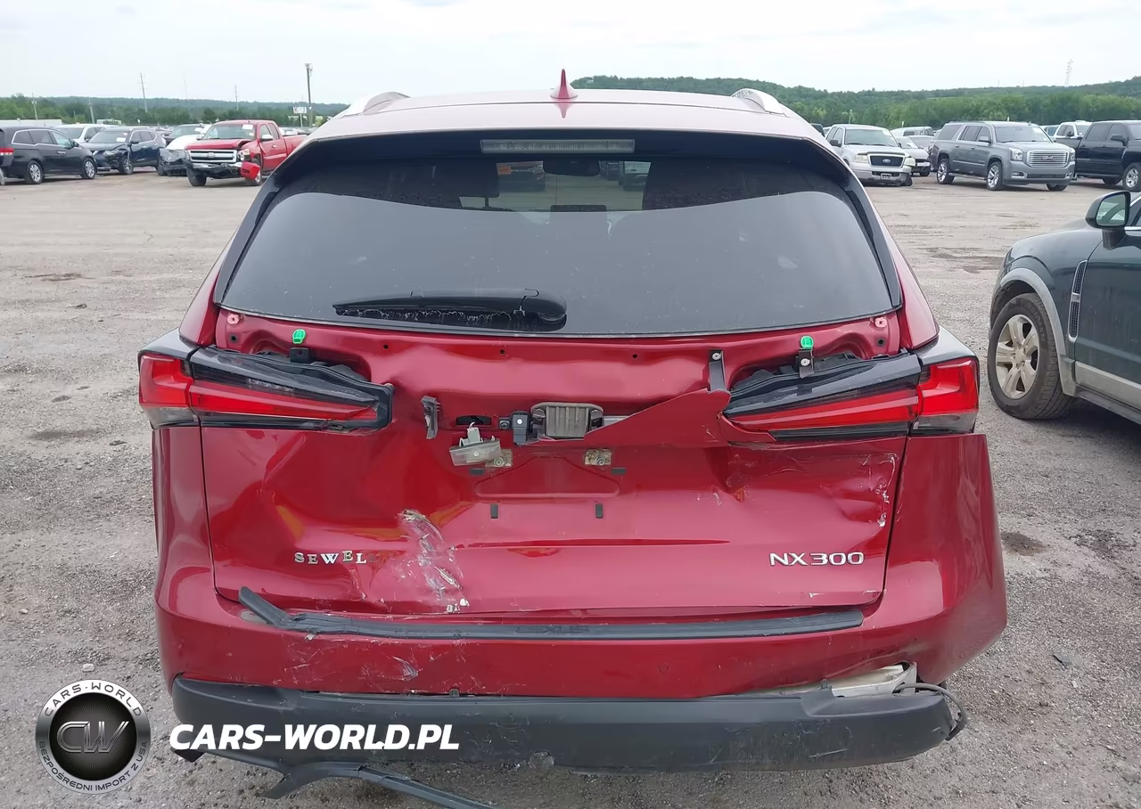 2021 Lexus Nx 300 VIN:JTJDARBZ5M5020832 - 16