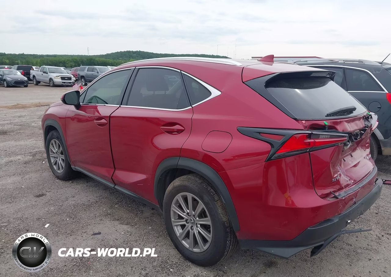 2021 Lexus Nx 300 VIN:JTJDARBZ5M5020832 - 3