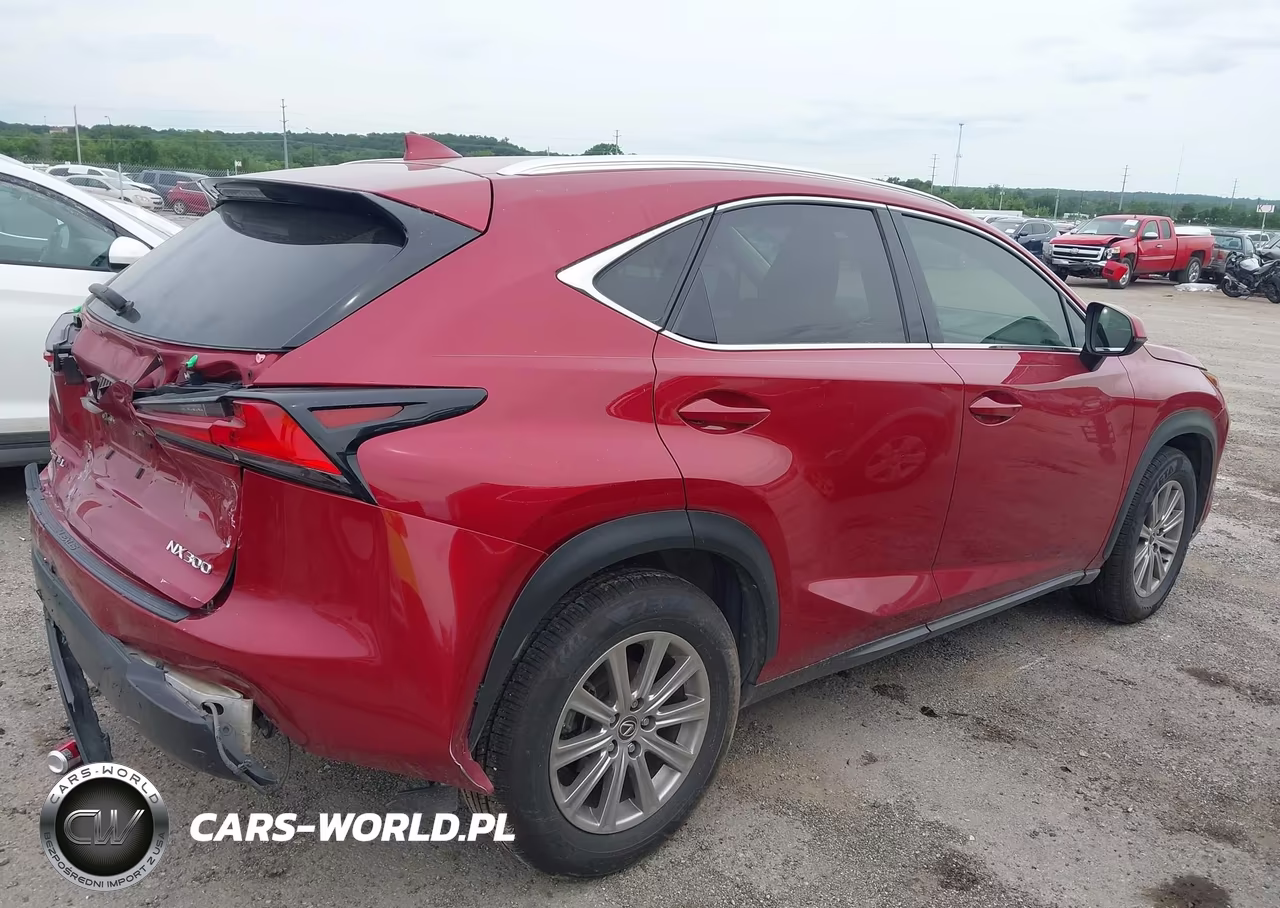 2021 Lexus Nx 300 VIN:JTJDARBZ5M5020832 - 4