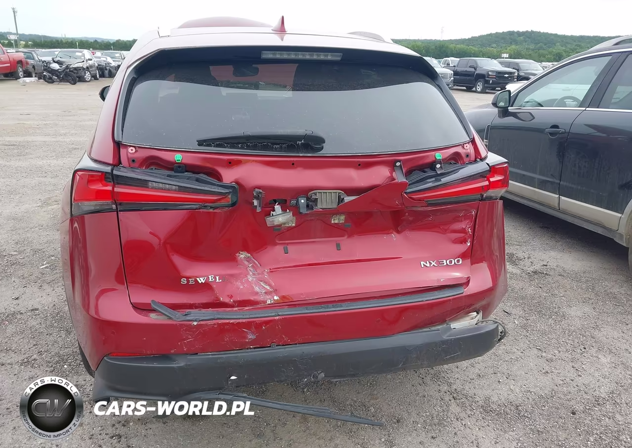 2021 Lexus Nx 300 VIN:JTJDARBZ5M5020832 - 6
