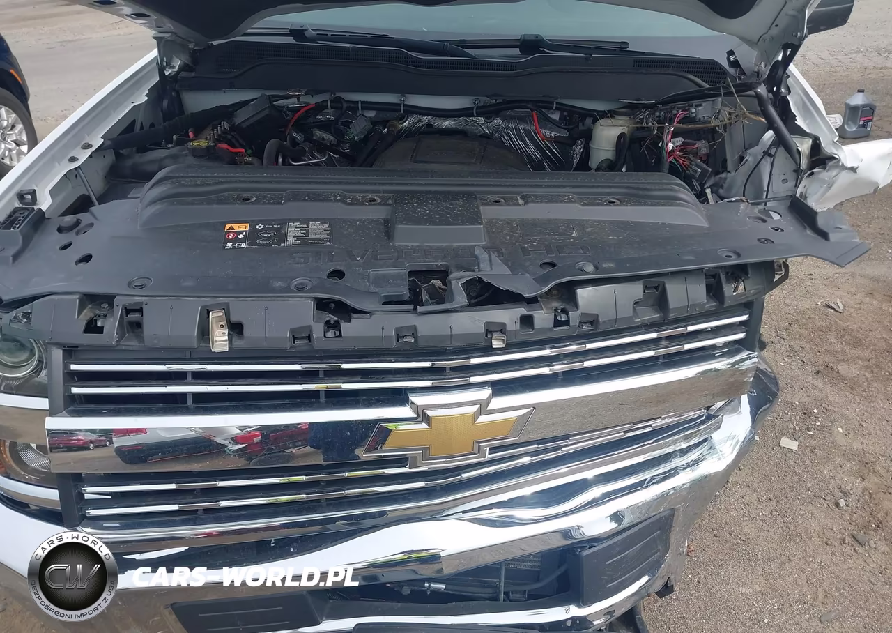 2015 Chevrolet Silverado 2500Hd Wt VIN:1GC2KUEG9FZ547532 - 10