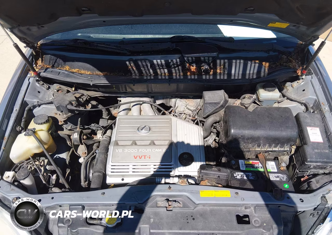2001 Lexus Rx 300 VIN:JTJHF10U110199522 - 10
