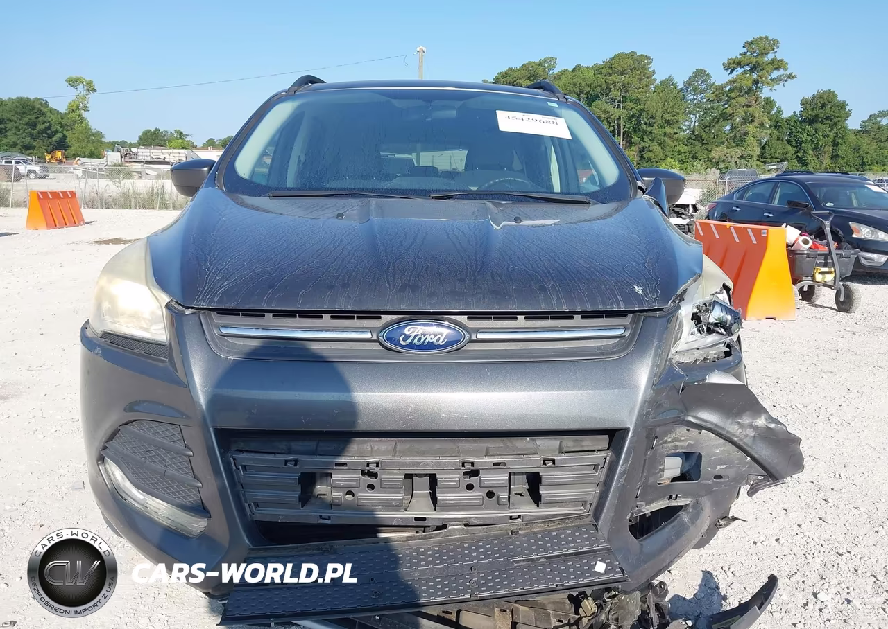 2015 Ford Escape Se VIN:1FMCU0GX4FUB68533 - 12