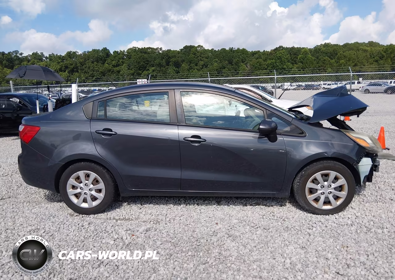 2014 Kia Rio Ex VIN:KNADN4A34E6334343 - 12