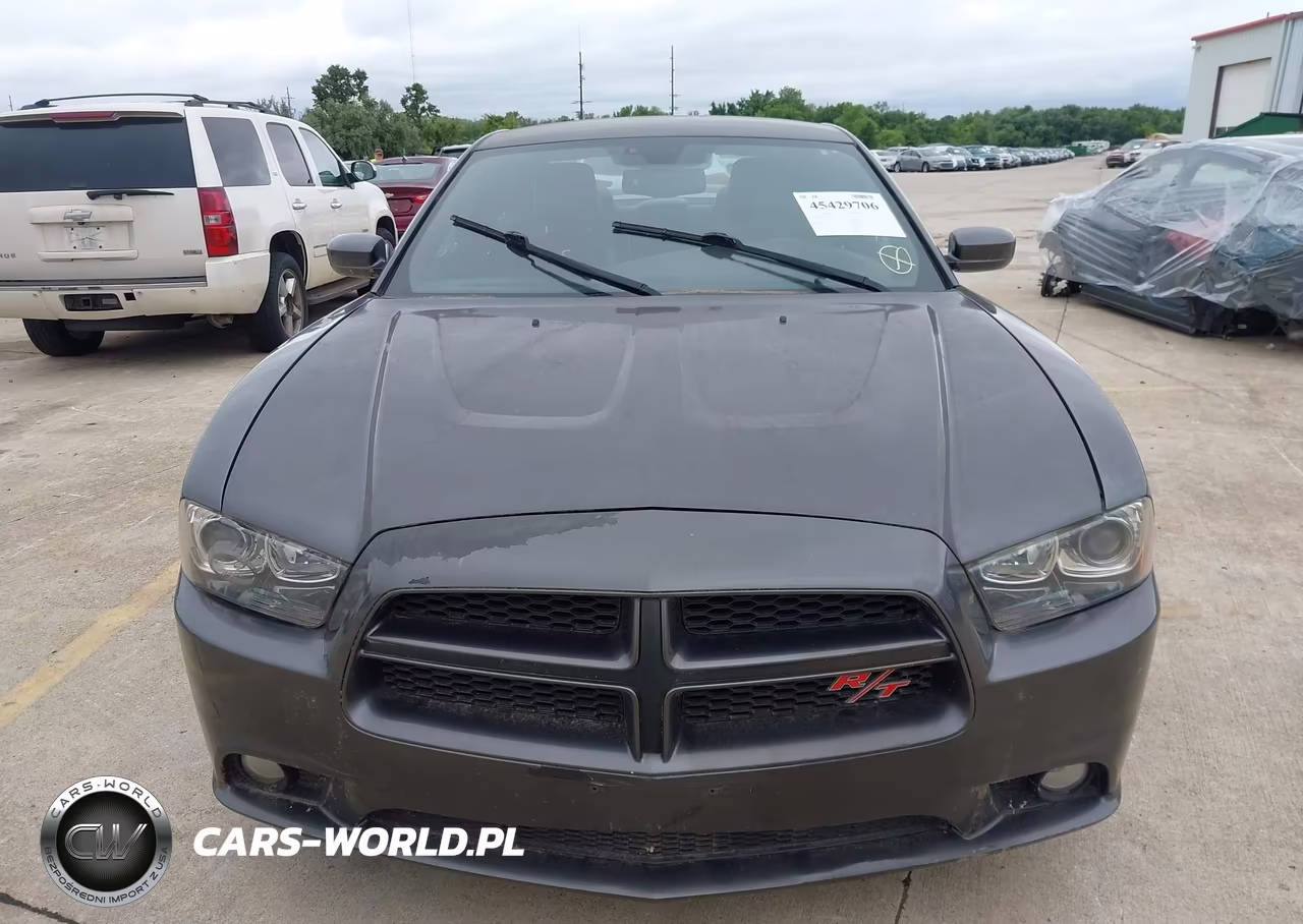 2014 Dodge Charger R-T 100Th Anniversary VIN:2C3CDXCT5EH226316 - 12