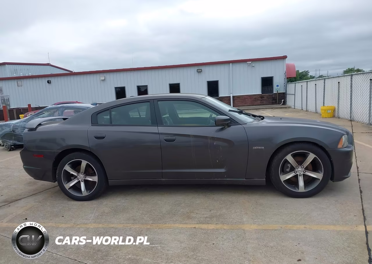 2014 Dodge Charger R-T 100Th Anniversary VIN:2C3CDXCT5EH226316 - 13