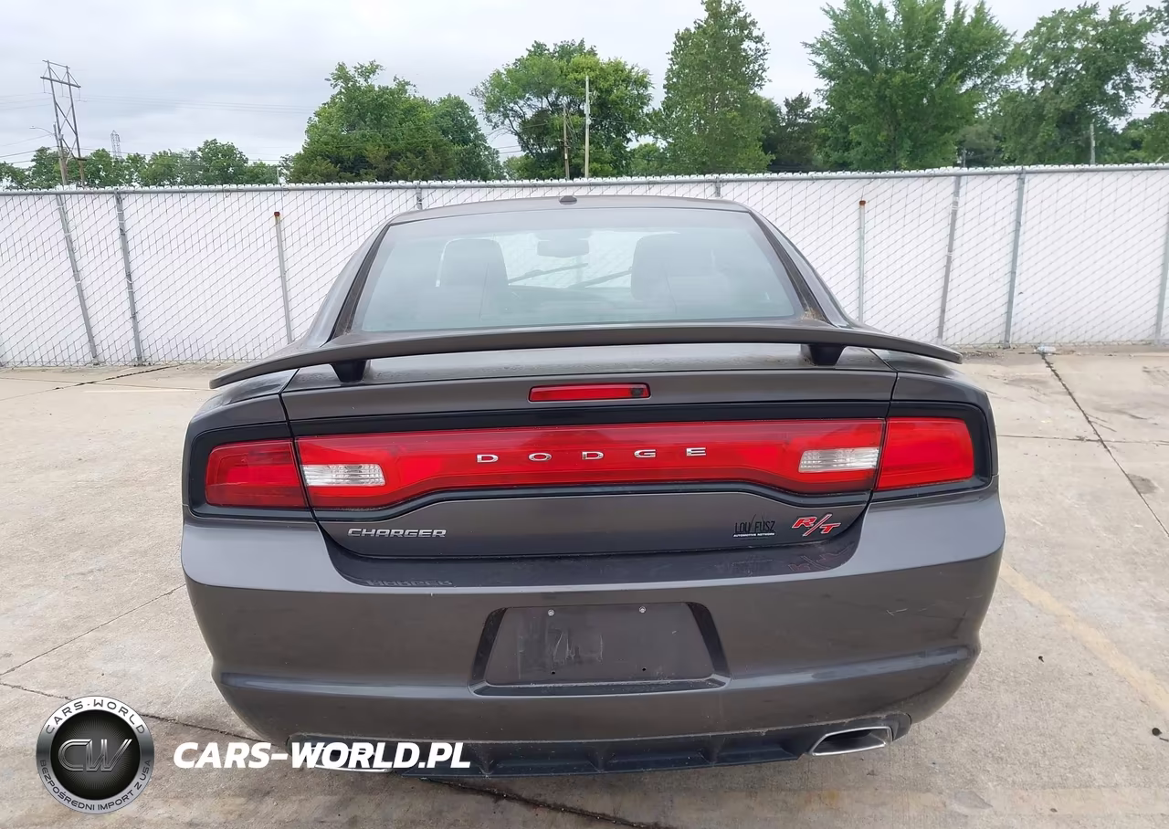 2014 Dodge Charger R-T 100Th Anniversary VIN:2C3CDXCT5EH226316 - 16