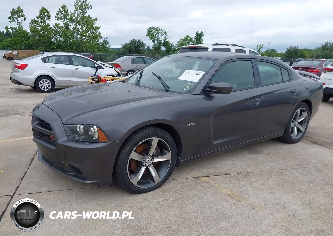 2014 Dodge Charger R-T 100Th Anniversary VIN:2C3CDXCT5EH226316 - 2