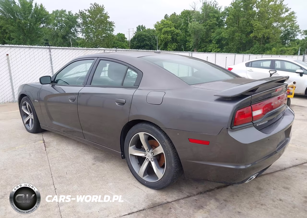 2014 Dodge Charger R-T 100Th Anniversary VIN:2C3CDXCT5EH226316 - 3
