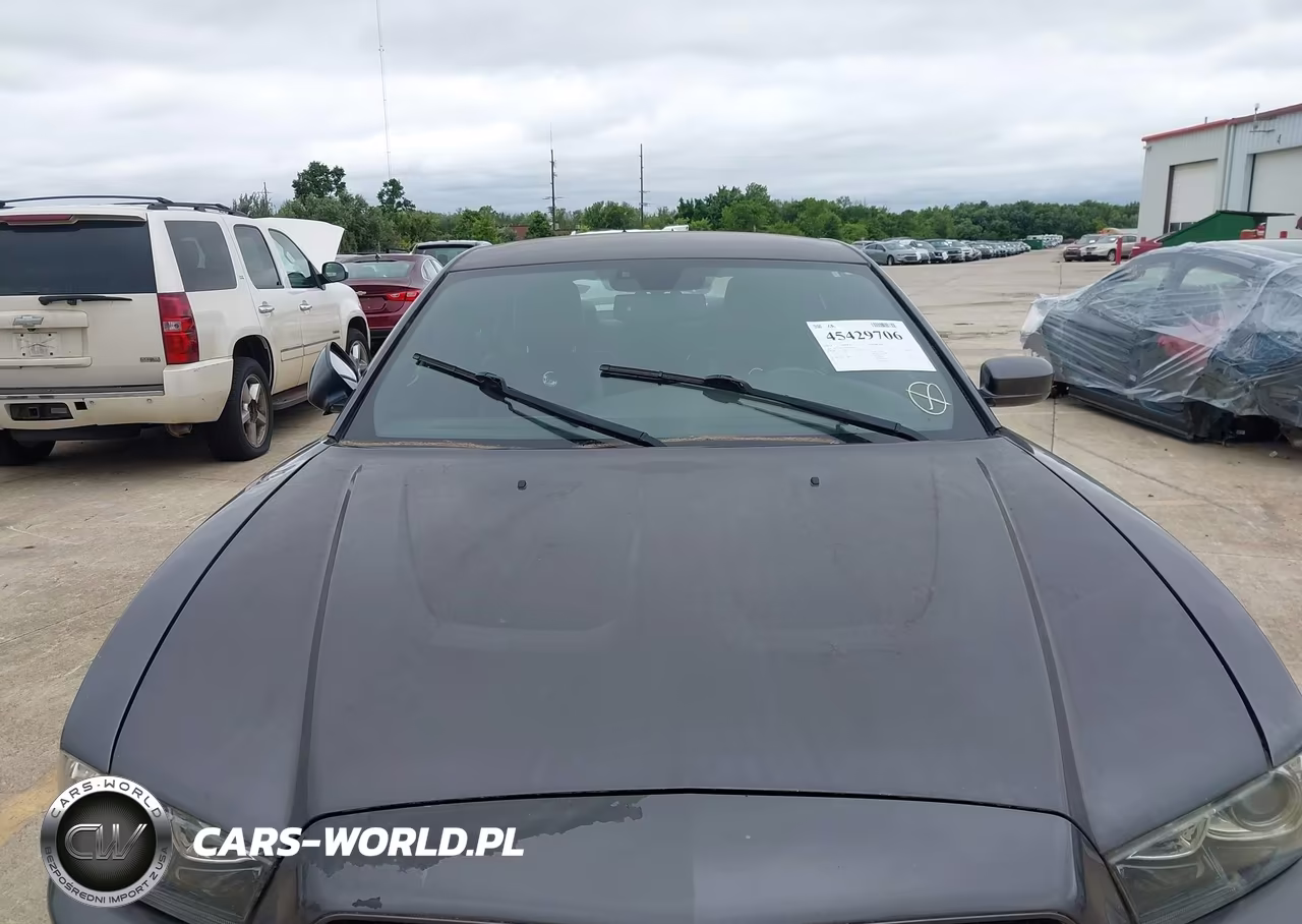 2014 Dodge Charger R-T 100Th Anniversary VIN:2C3CDXCT5EH226316 - 6