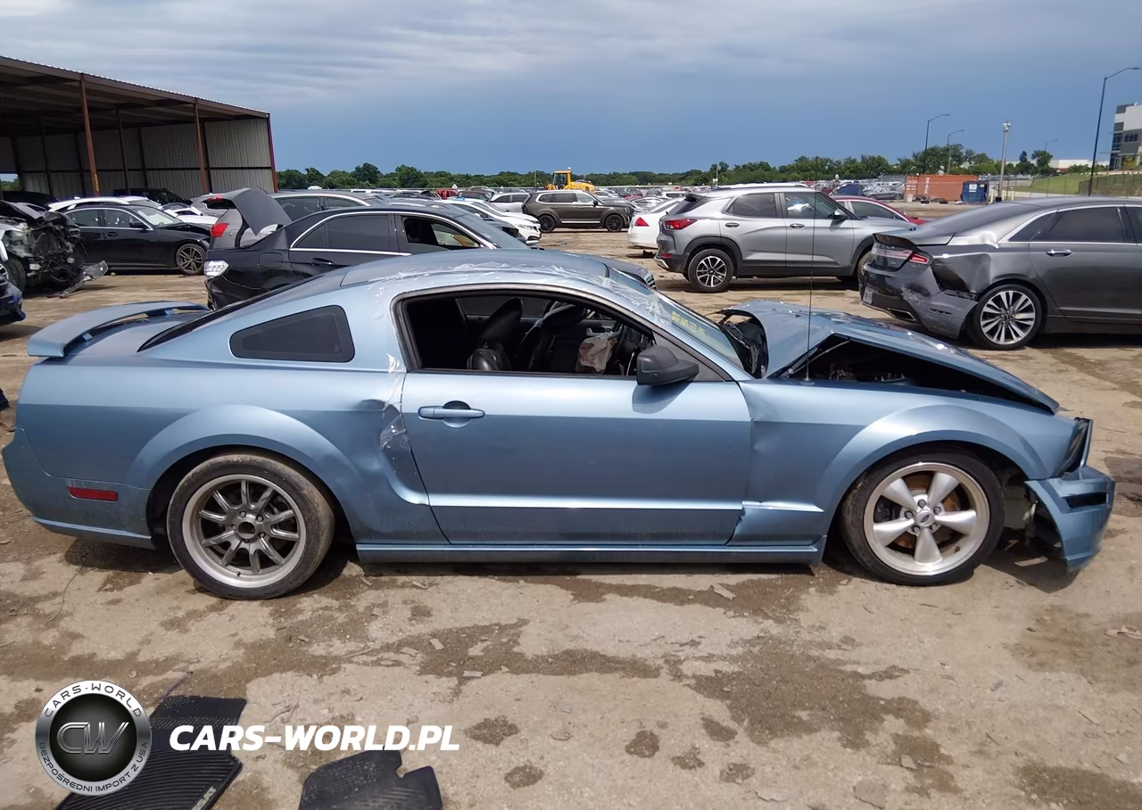 2007 Ford Mustang Gt Deluxe-Gt Premium VIN:1ZVHT82H075244107 - 12