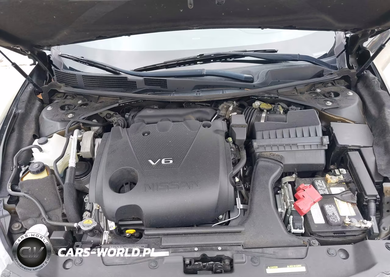 2016 Nissan Maxima 3.5 Platinum VIN:1N4AA6AP9GC387498 - 10