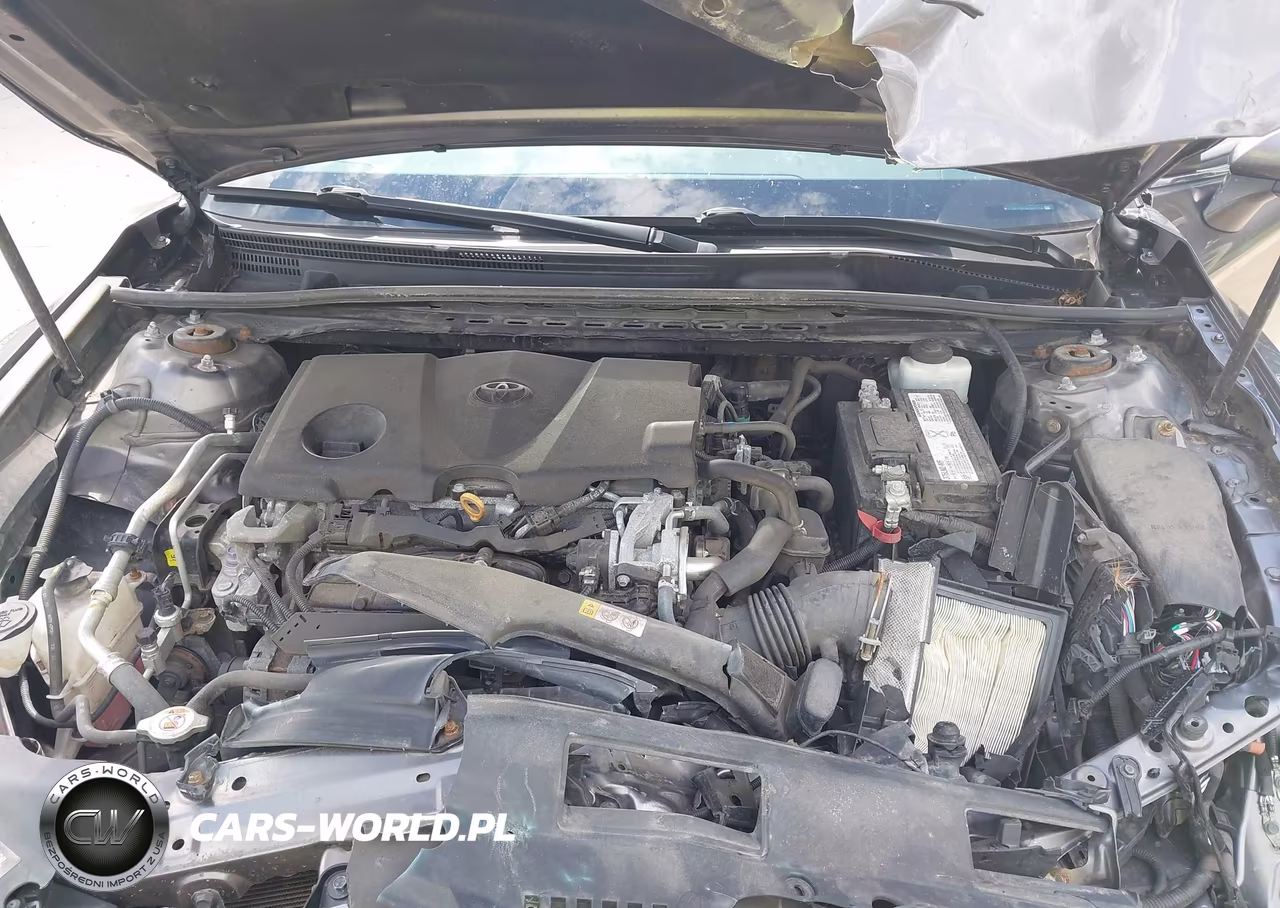 2019 Toyota Camry Le VIN:4T1B11HKXKU843194 - 10