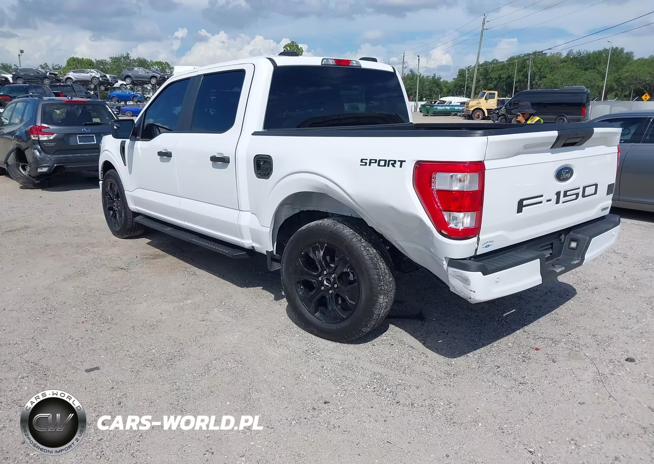 2023 Ford F-150 Lariat-Xl-Xlt VIN:1FTEW1CP5PKF59657 - 3