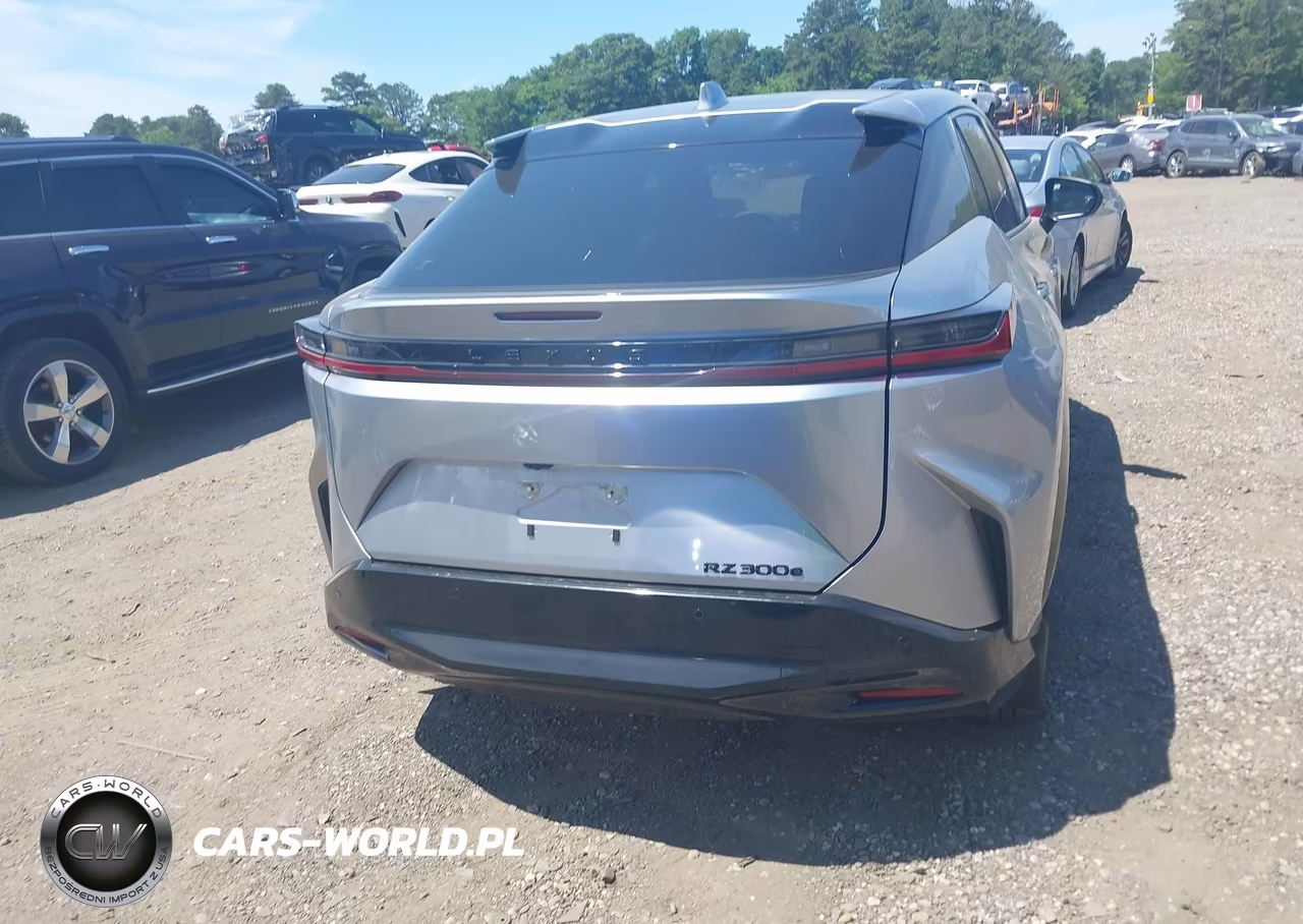 2025 Lexus Rz 300E Premium VIN:JTJABABB8SA011924 - 16