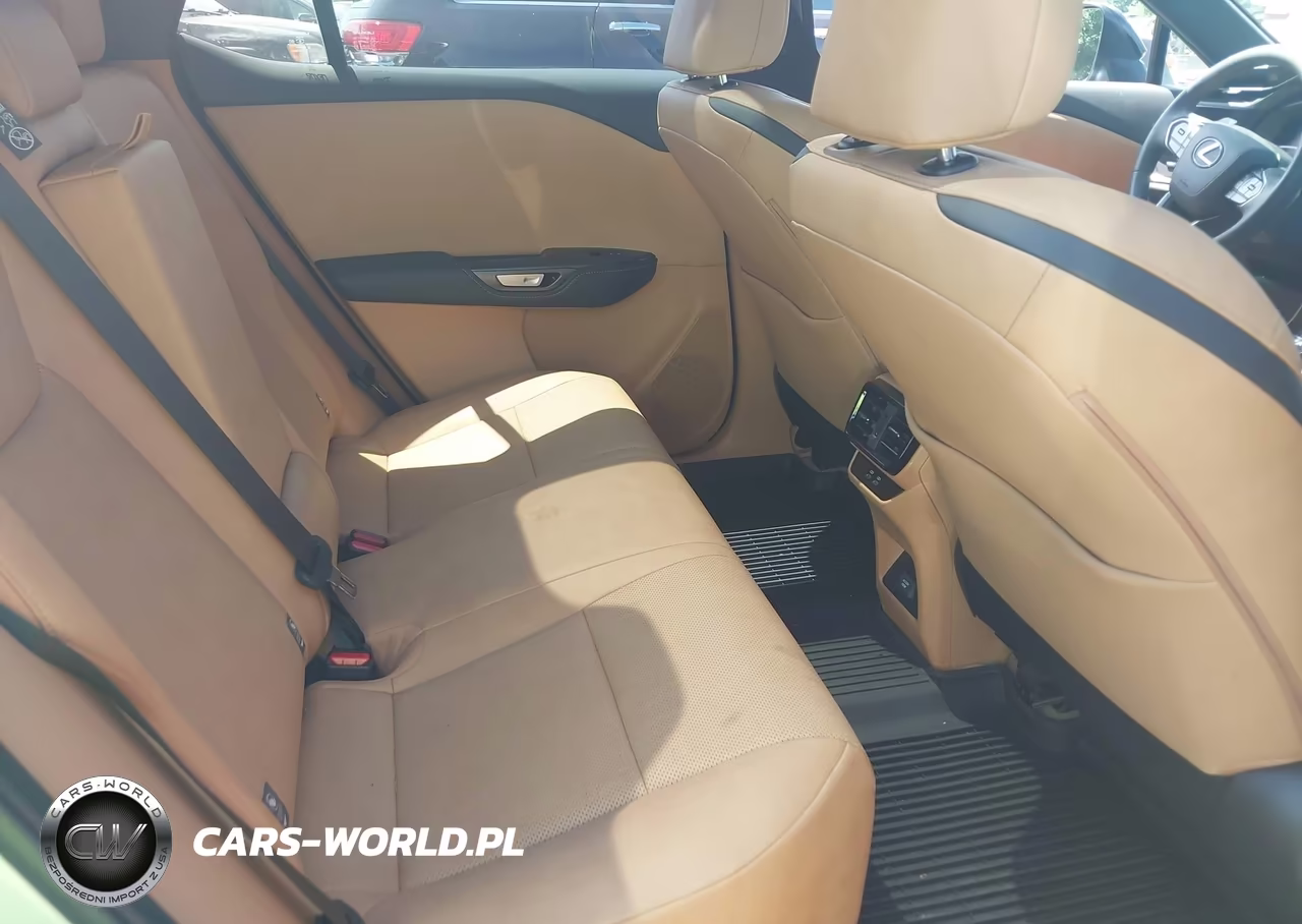 2025 Lexus Rz 300E Premium VIN:JTJABABB8SA011924 - 8