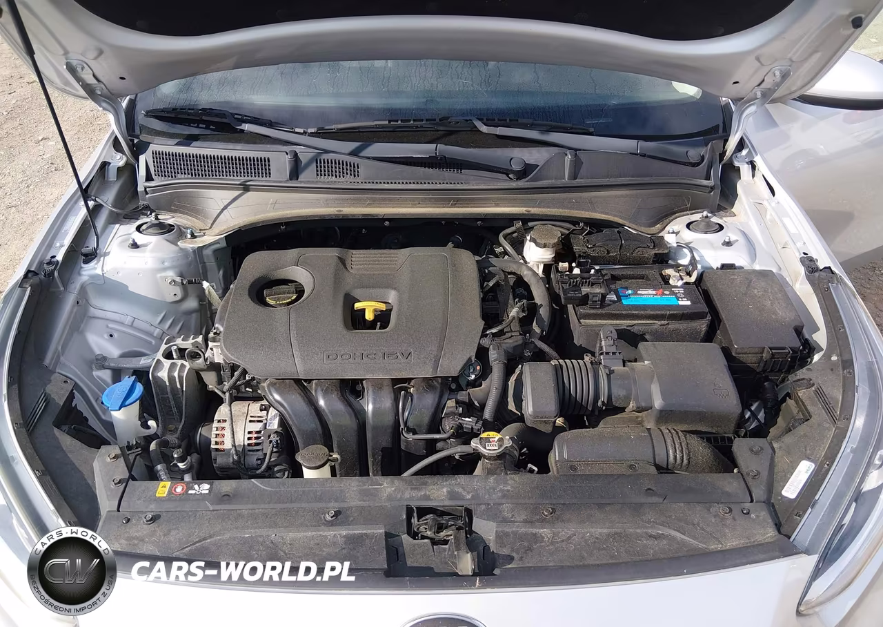 2019 Kia Forte Lxs VIN:3KPF24AD8KE113170 - 10