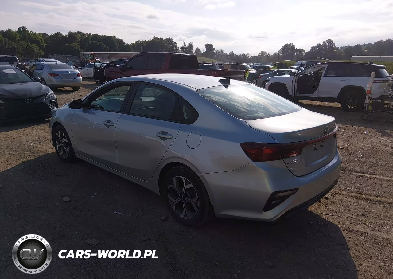 2019 Kia Forte Lxs VIN:3KPF24AD8KE113170 - 3