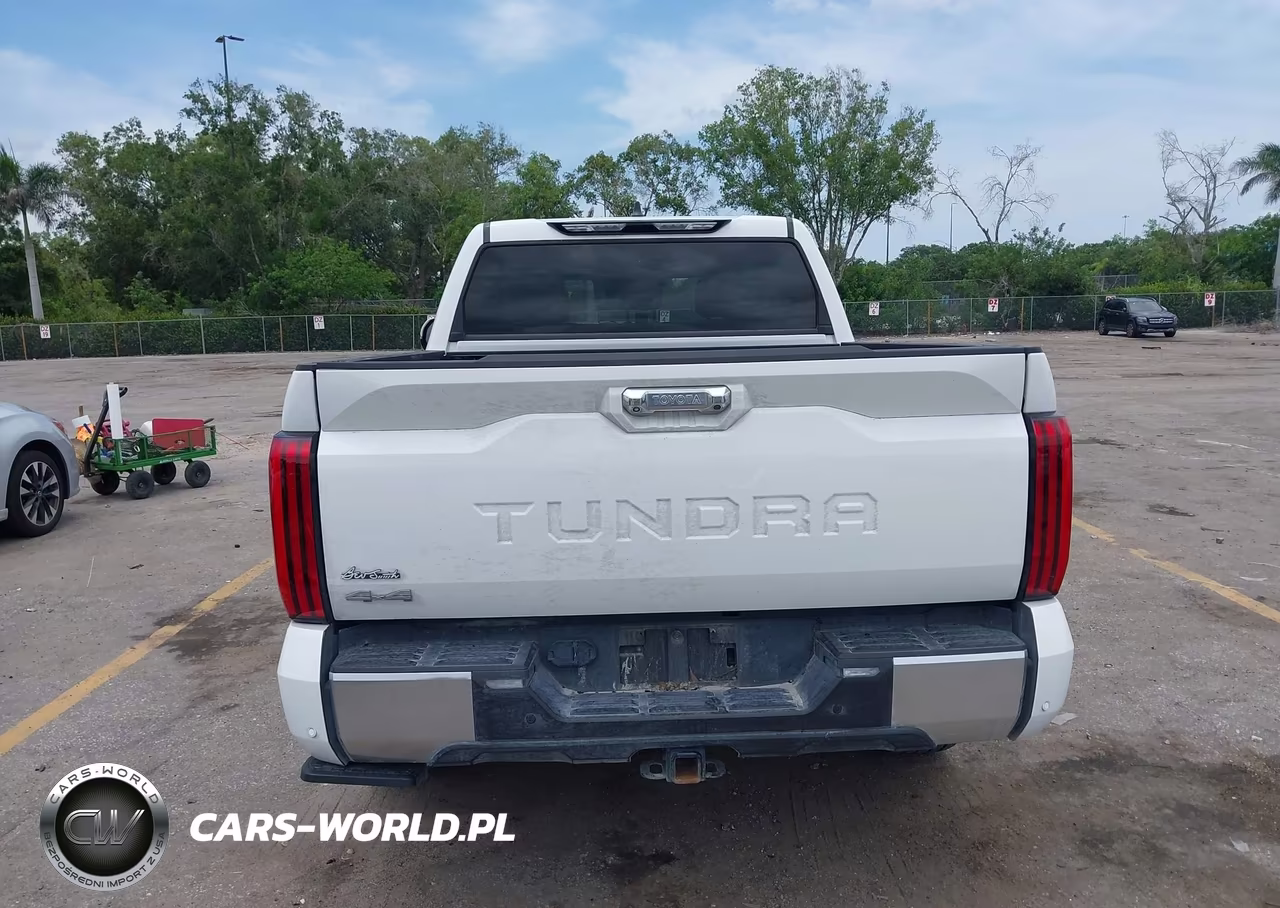 2025 Toyota Tundra Limited VIN:5TFJA5DB7SX290581 - 17