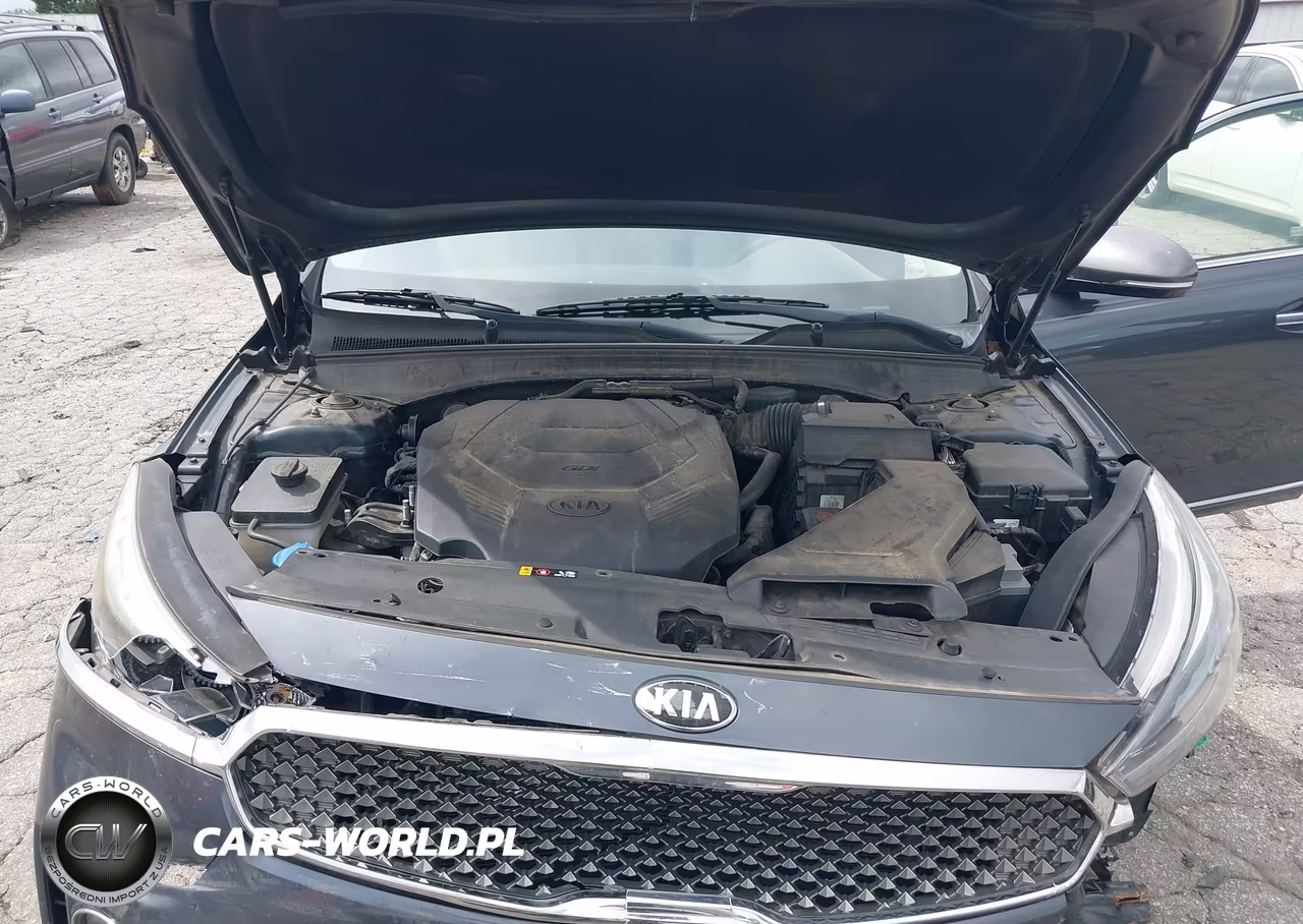 2017 Kia Cadenza Premium VIN:KNALC4J14H5047496 - 10