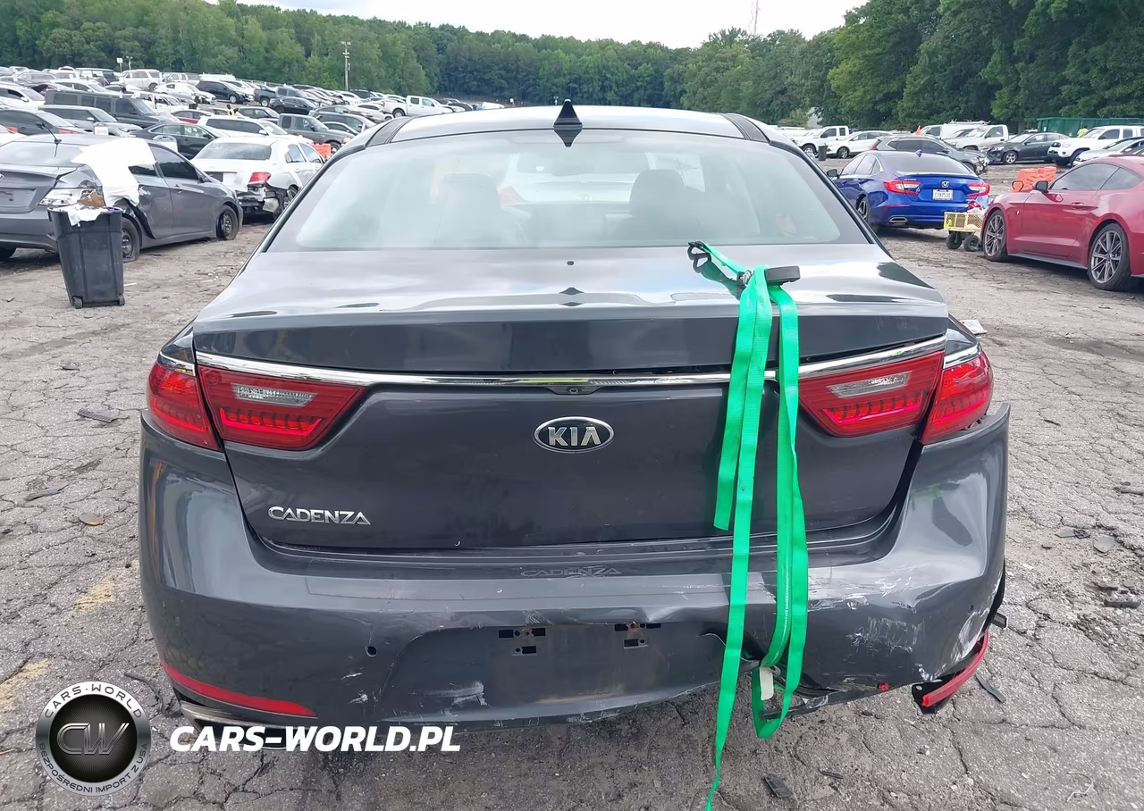 2017 Kia Cadenza Premium VIN:KNALC4J14H5047496 - 17