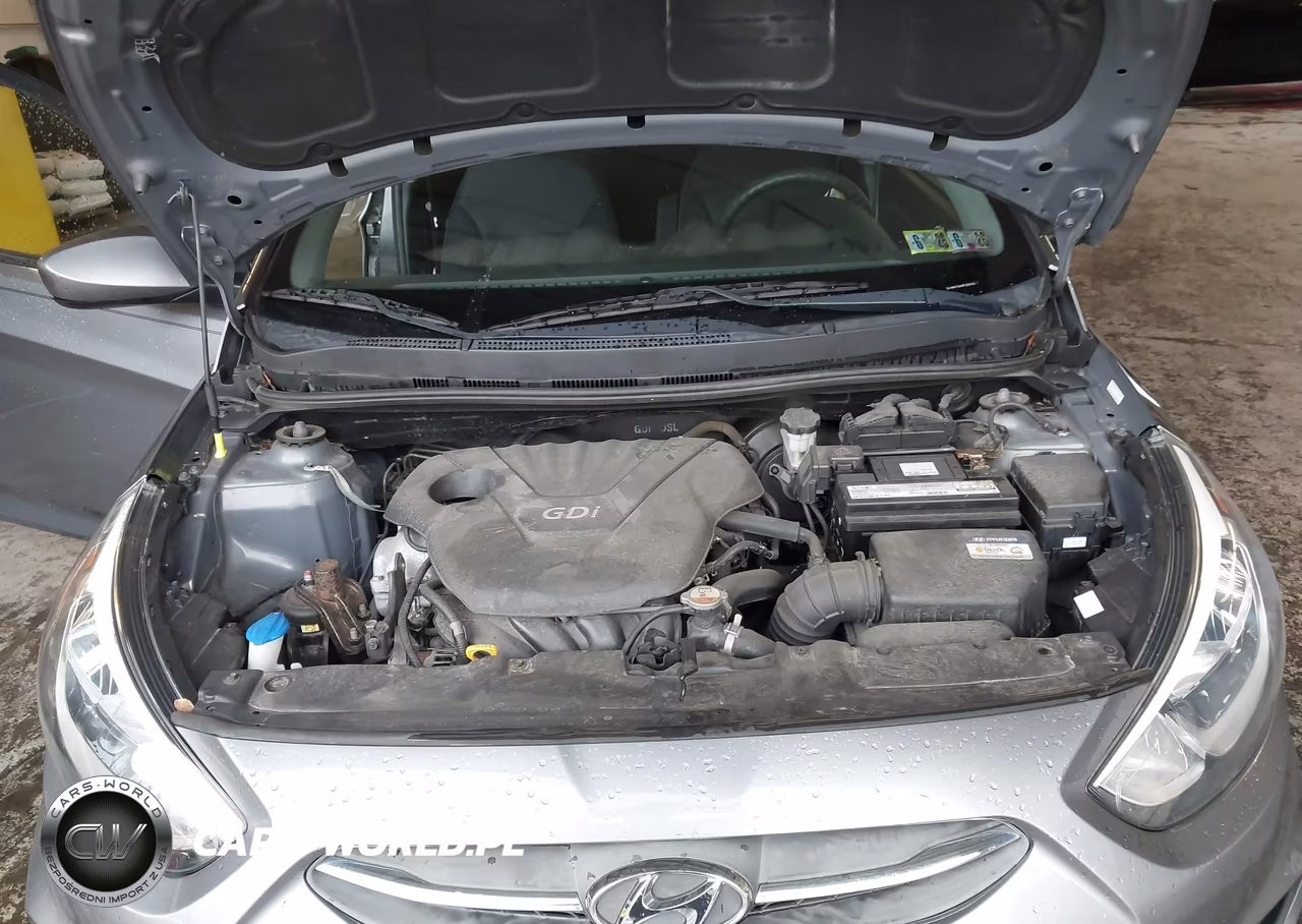 2015 Hyundai Accent Gs VIN:KMHCT5AE5FU225295 - 10