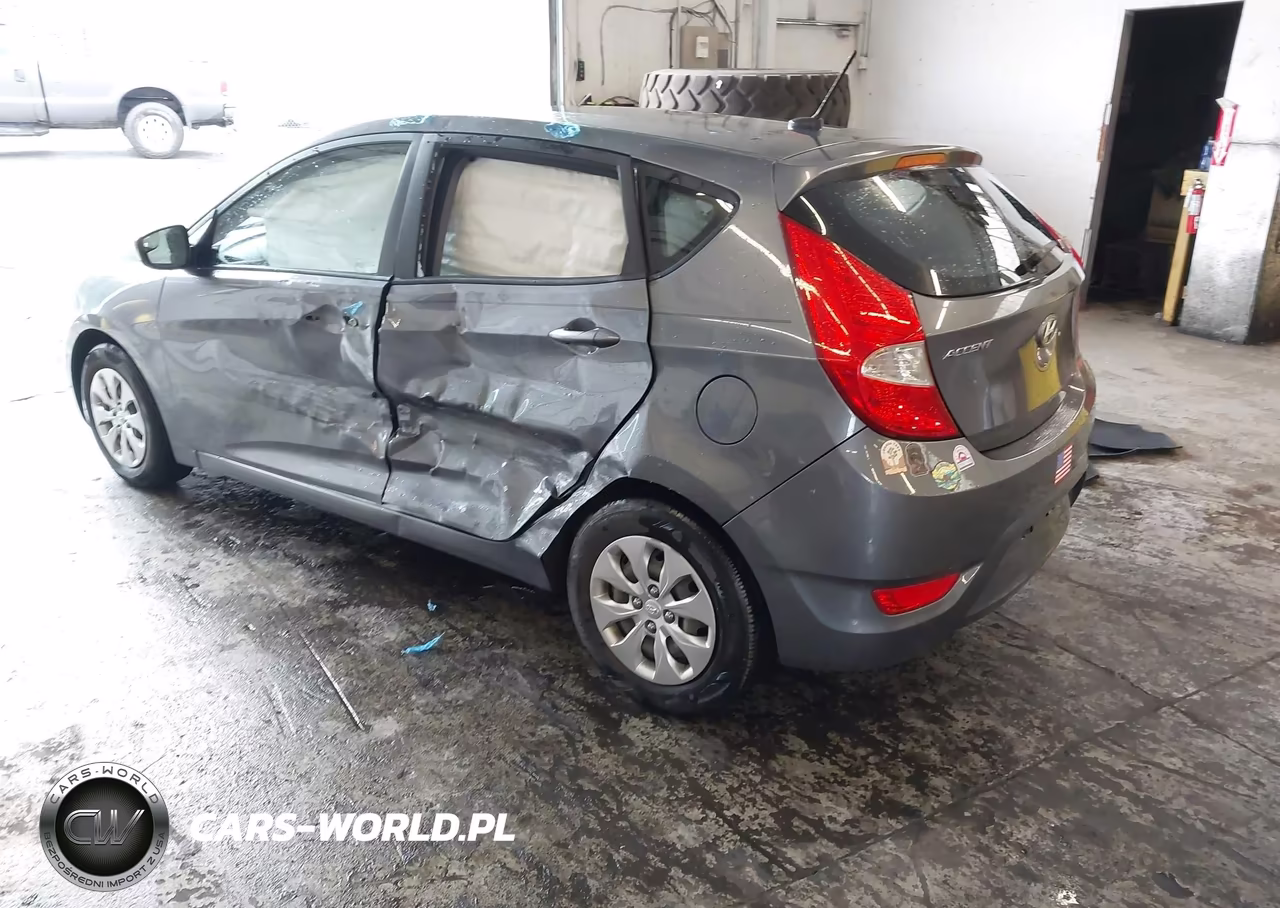 2015 Hyundai Accent Gs VIN:KMHCT5AE5FU225295 - 3