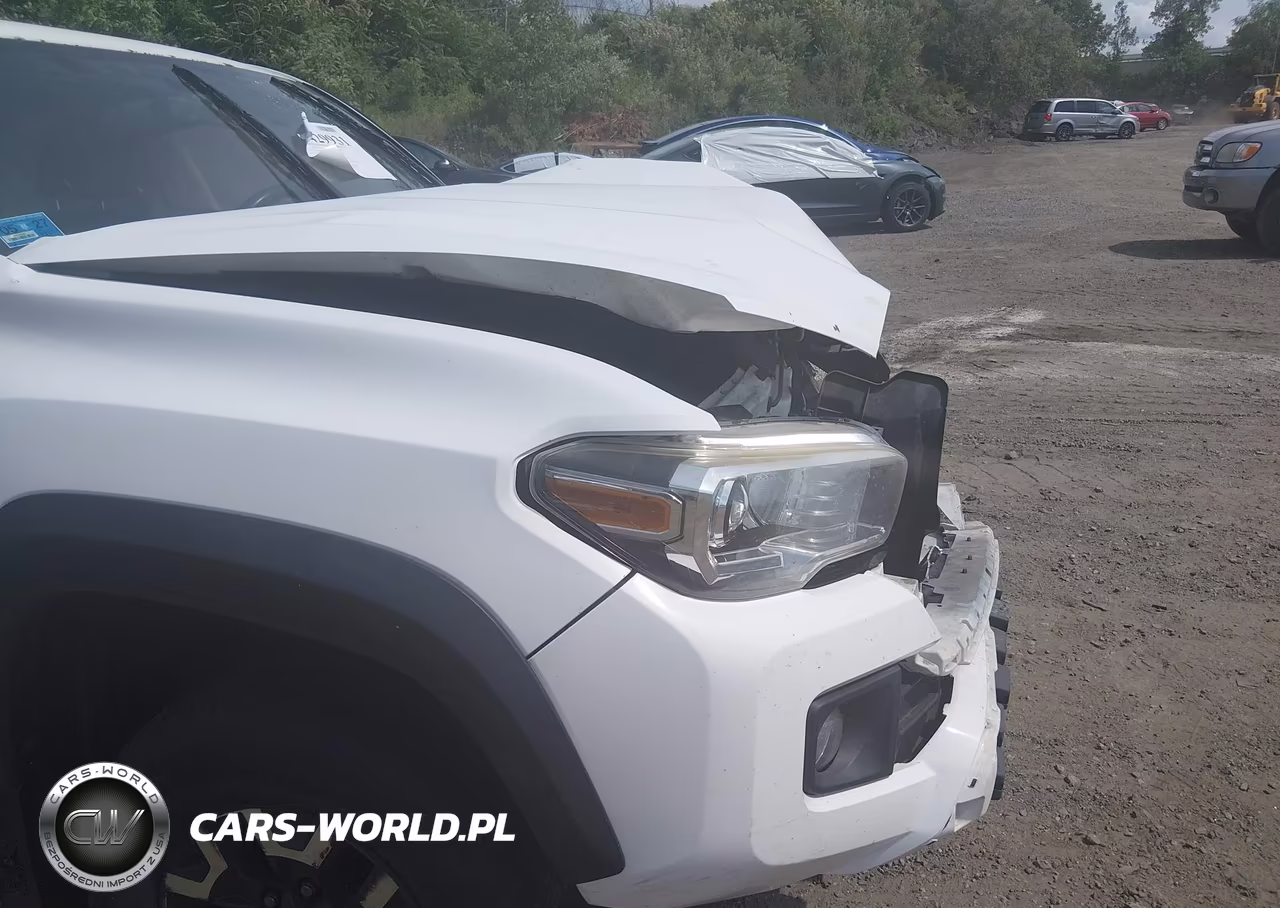 2017 Toyota Tacoma Trd Off Road VIN:3TMCZ5AN6HM057757 - 20