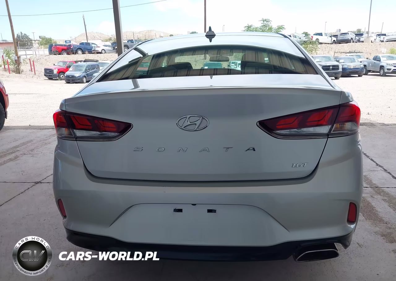 2019 Hyundai Sonata Eco VIN:5NPE24AA9KH803300 - 17