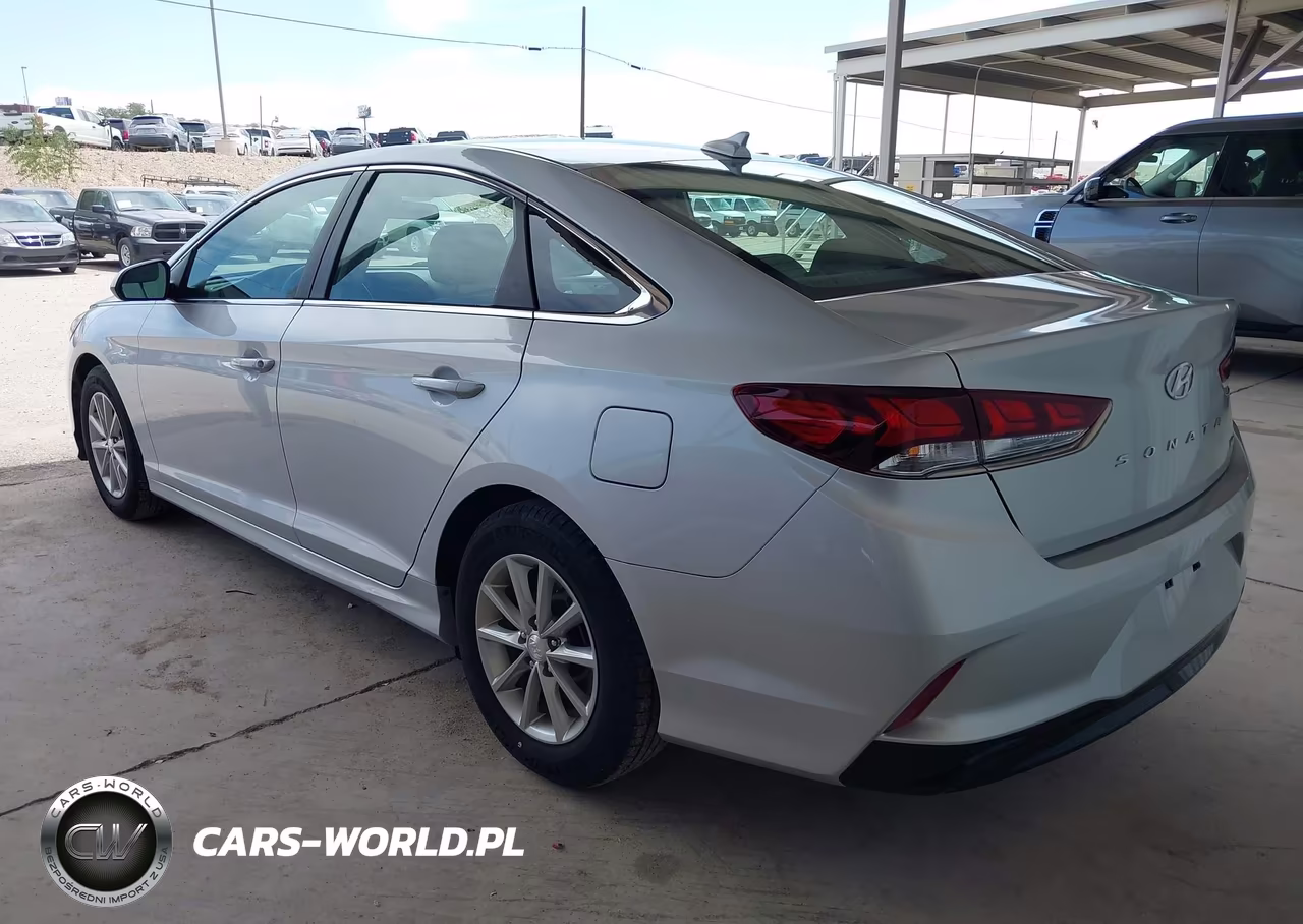 2019 Hyundai Sonata Eco VIN:5NPE24AA9KH803300 - 3