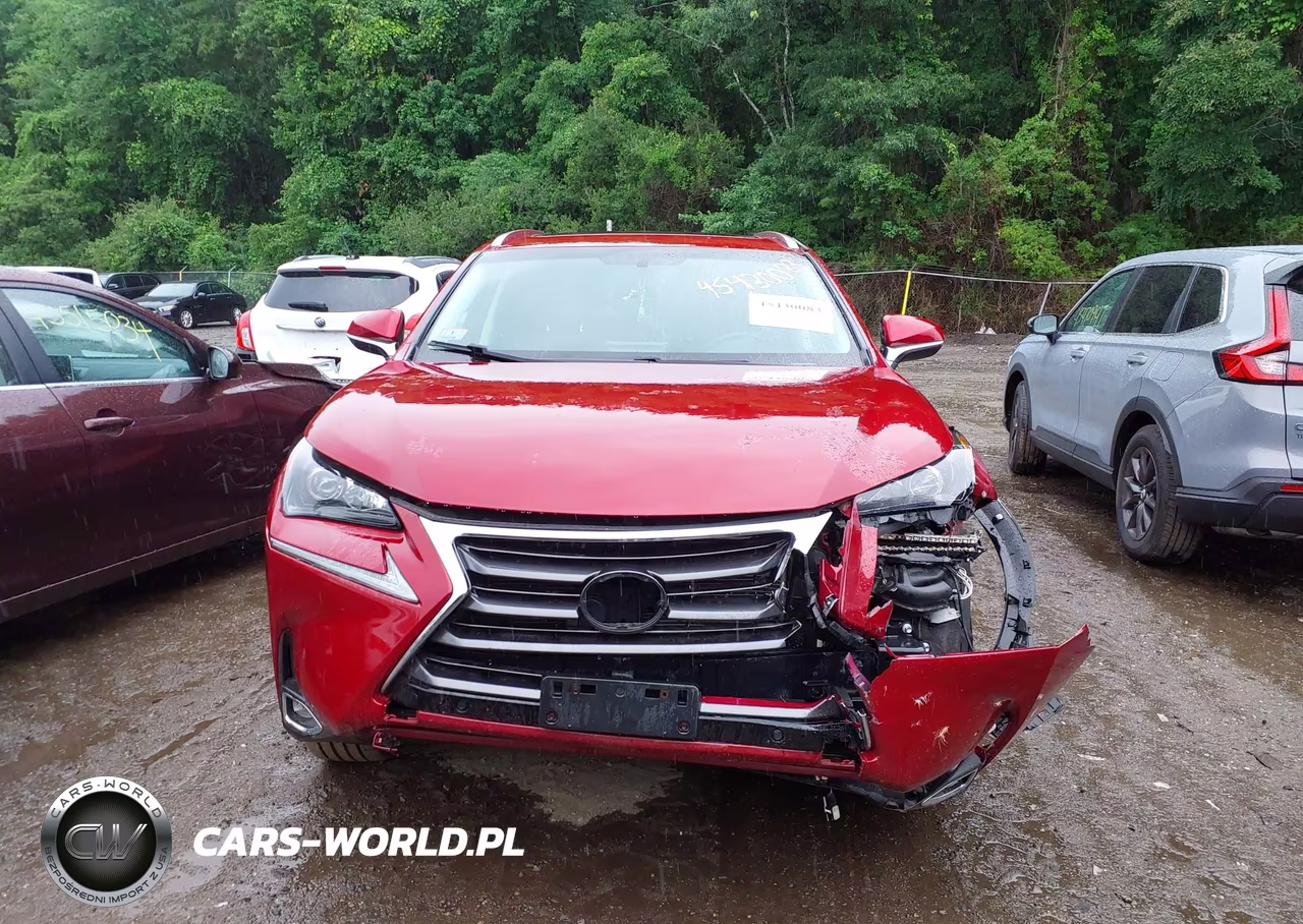 2015 Lexus Nx 200T VIN:JTJBARBZ4F2029209 - 12