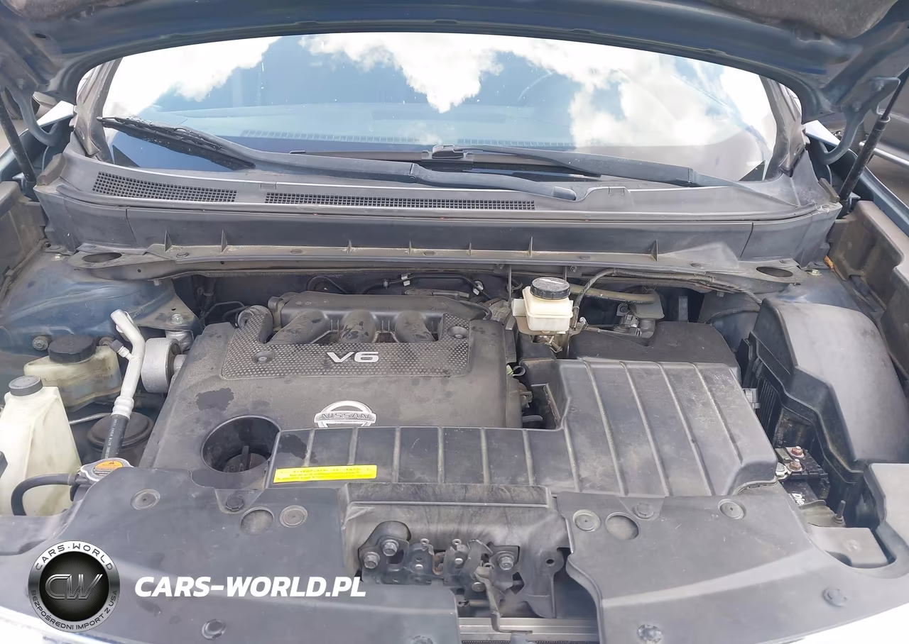2009 Nissan Murano Sl VIN:JN8AZ18U29W017257 - 10