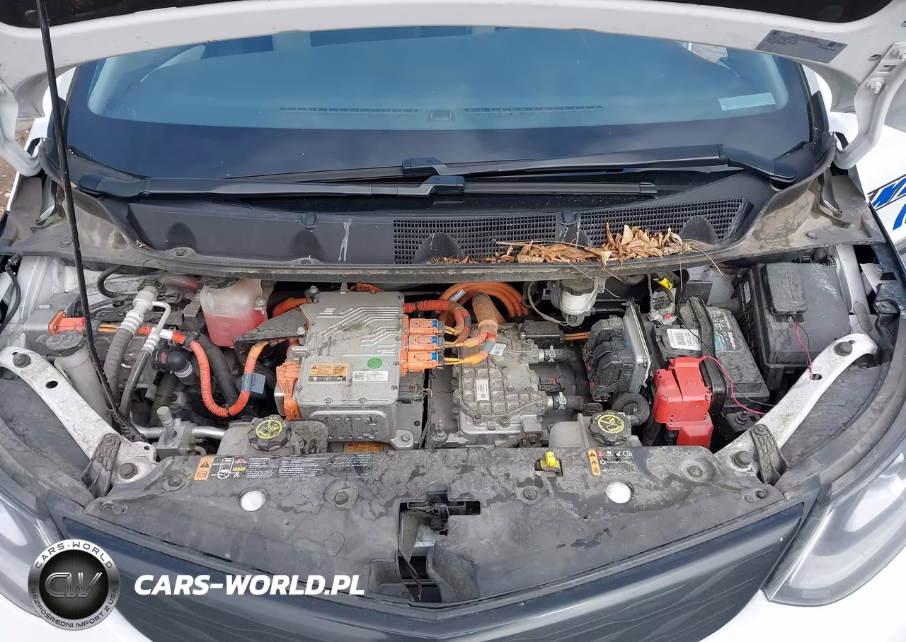 2019 Chevrolet Bolt Ev Lt VIN:1G1FW6S06K4150661 - 10