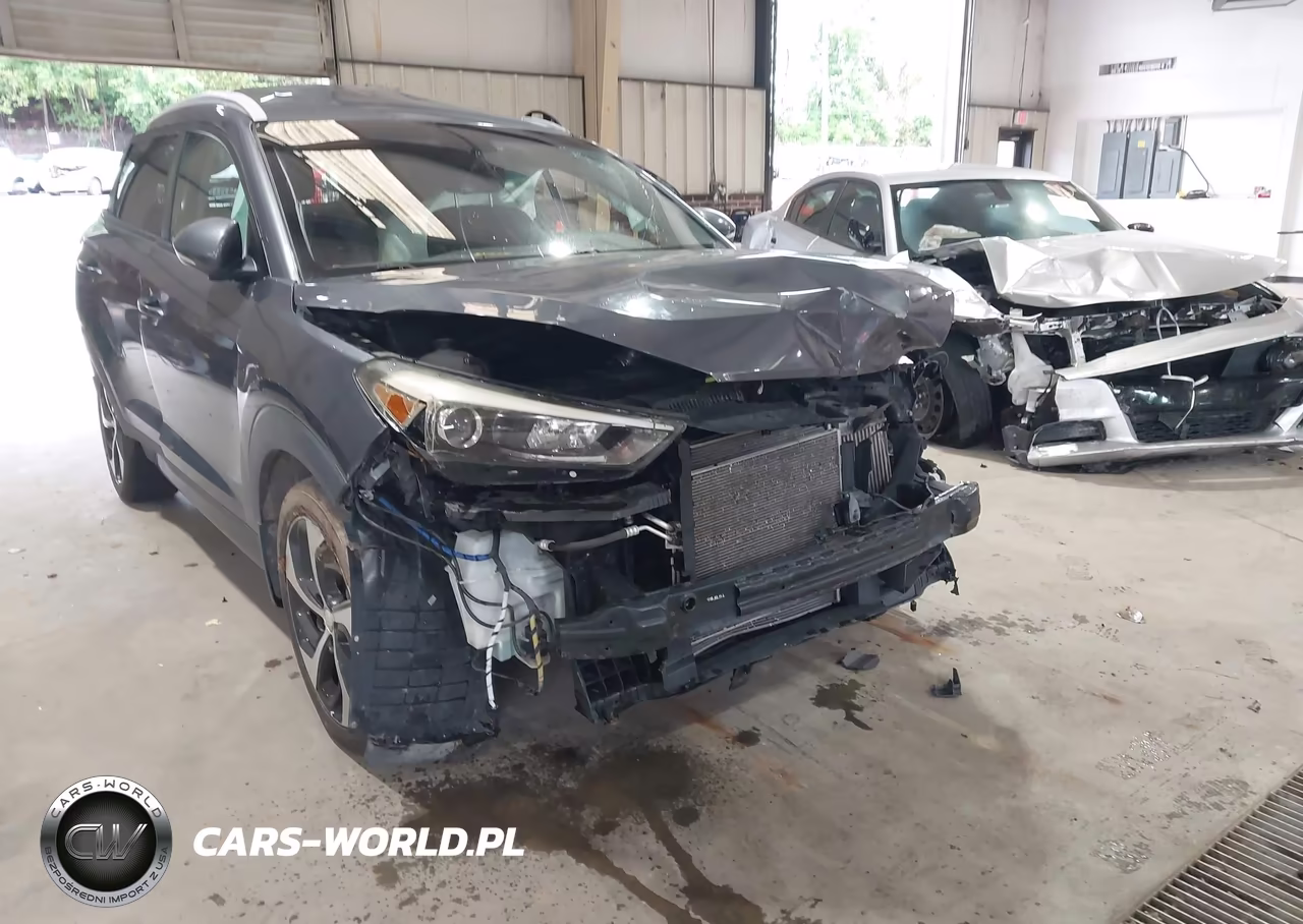 2016 Hyundai Tucson Sport VIN:KM8J3CA23GU207932 - 6