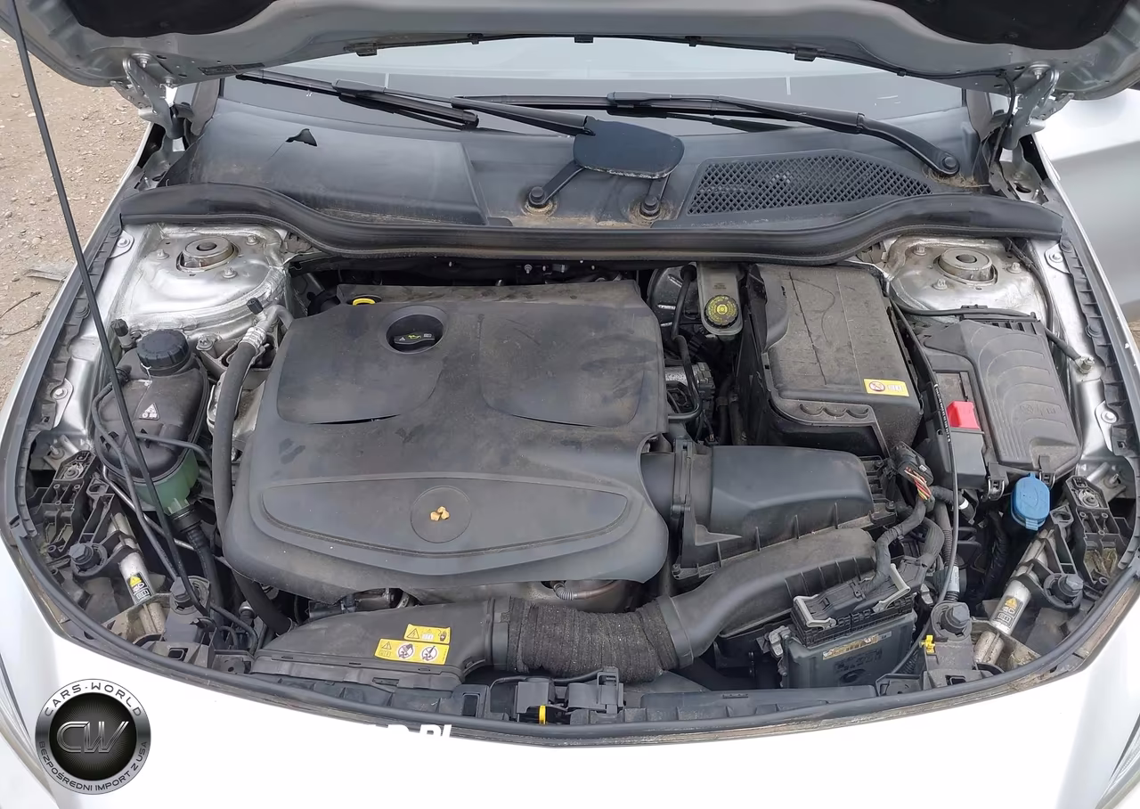 2014 Mercedes-Benz Cla 250 VIN:WDDSJ4EB3EN040824 - 10