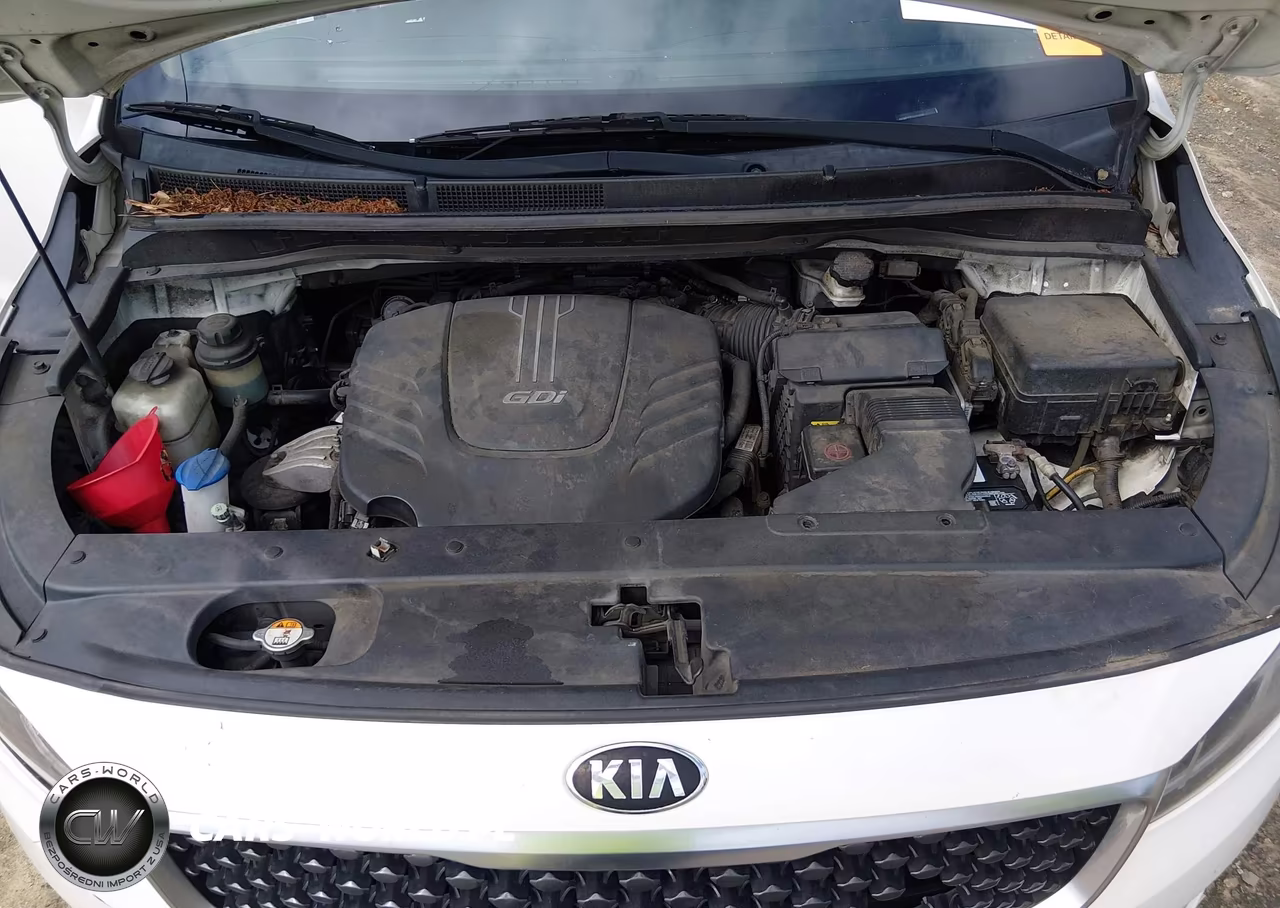 2016 Kia Sedona Lx VIN:KNDMB5C15G6214096 - 10