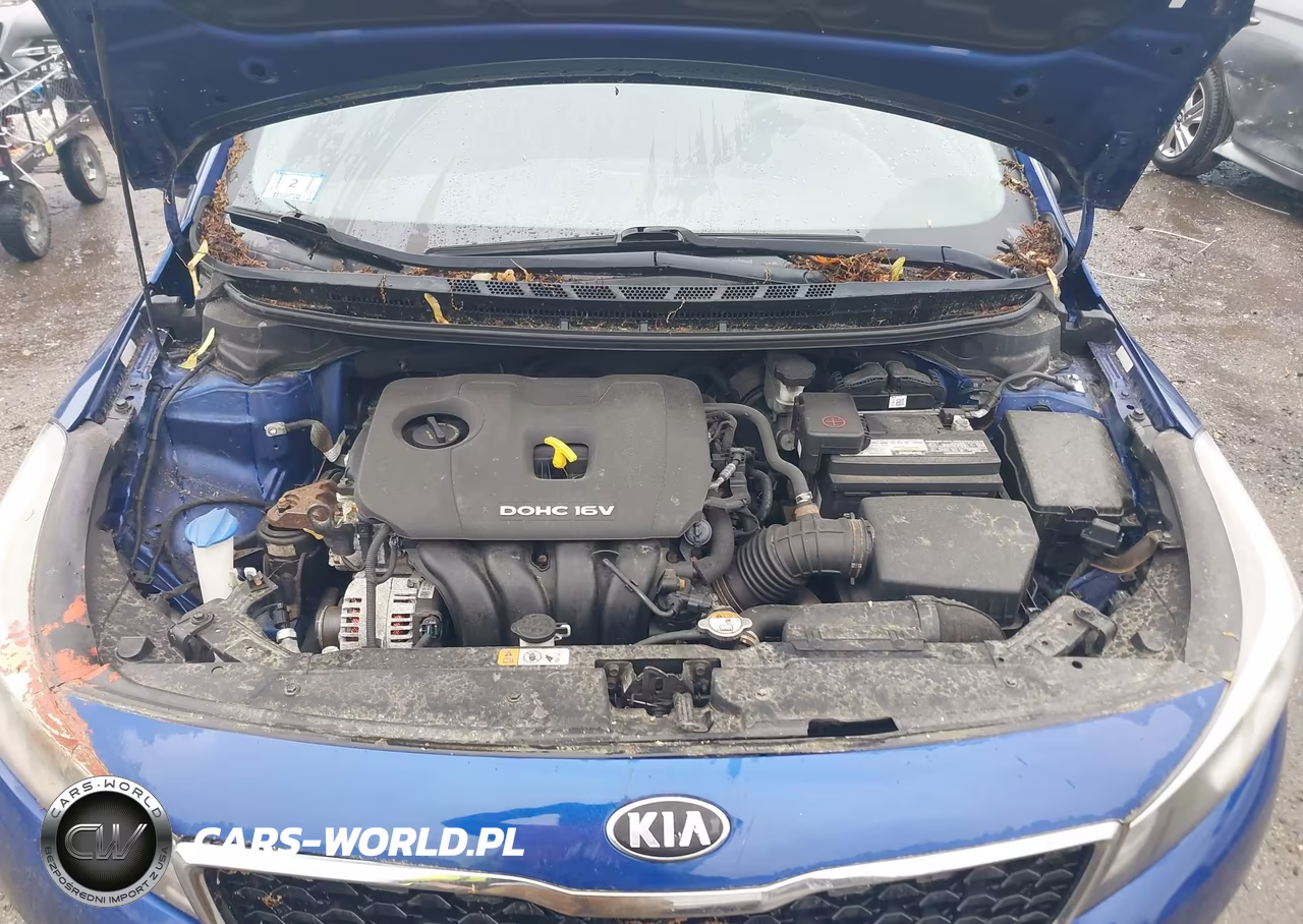 2017 Kia Forte Lx VIN:3KPFK4A79HE093837 - 10