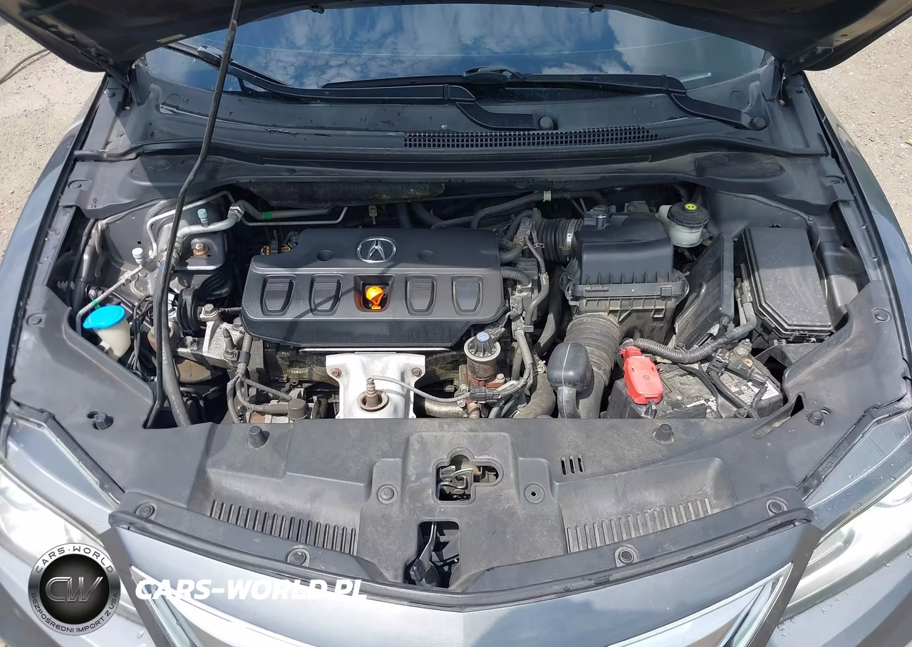 2013 Acura Ilx 2.0L VIN:19VDE1F50DE002204 - 10