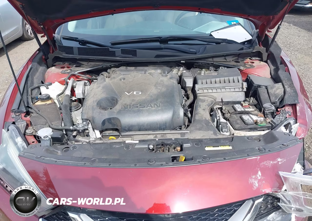 2016 Nissan Maxima 3.5 Platinum VIN:1N4AA6AP2GC421054 - 10