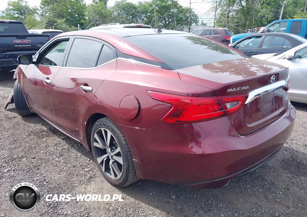 2016 Nissan Maxima 3.5 Platinum VIN:1N4AA6AP2GC421054 - 6