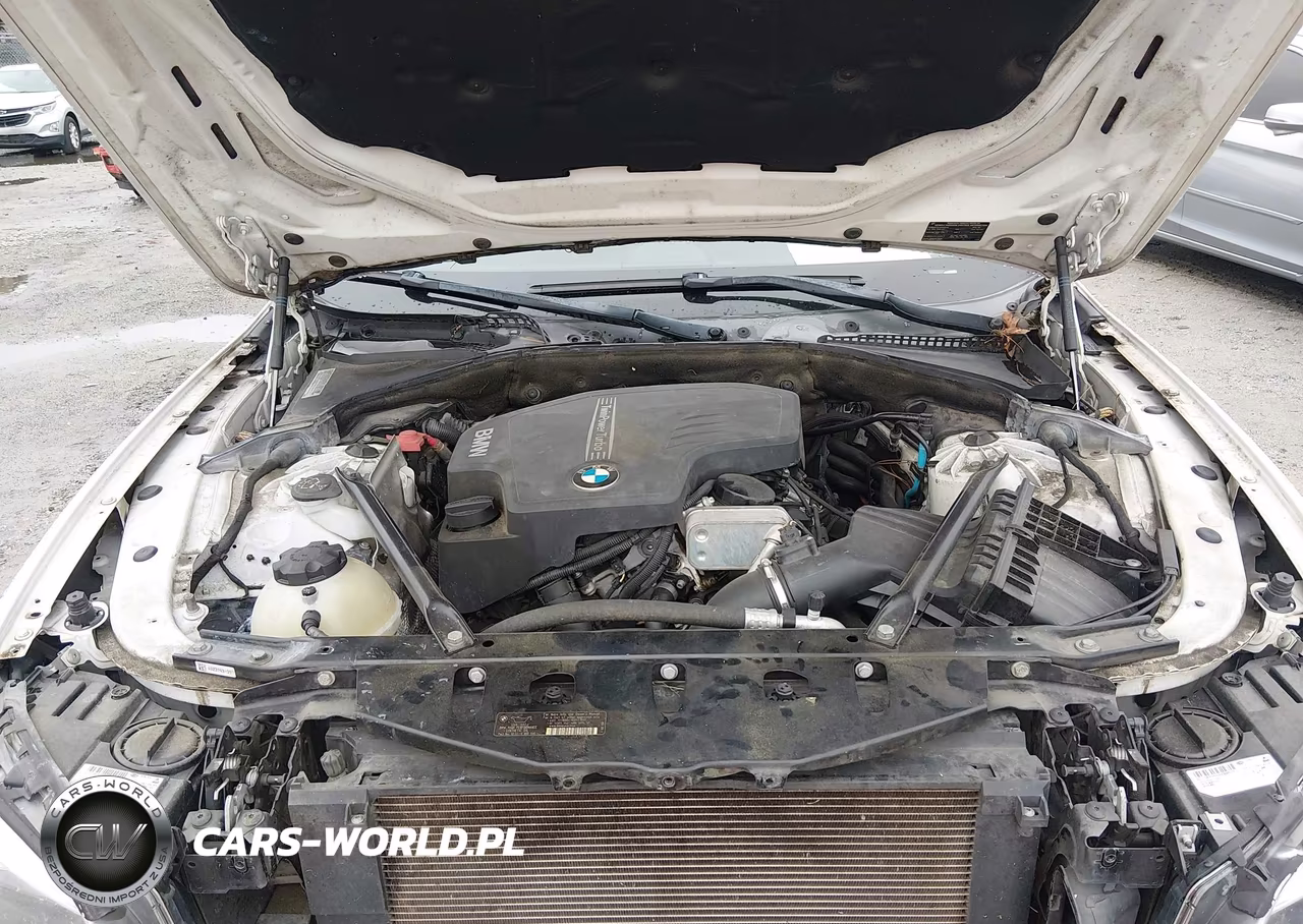 2015 BMW 528I VIN:WBA5A5C50FD513920 - 10