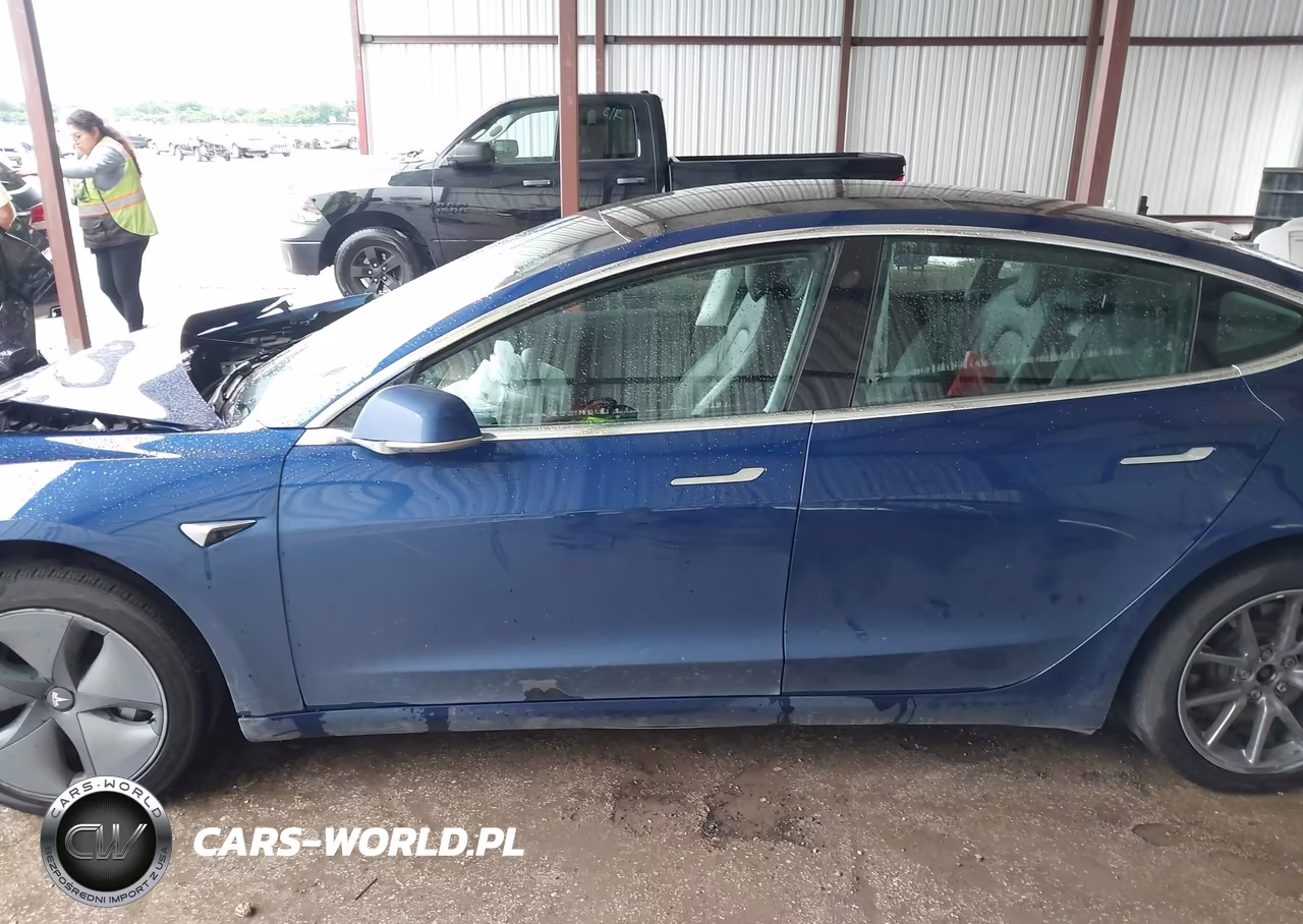 2020 Tesla Model 3 Standard Range Plus Rear-Wheel Drive-Standard Range Rear-Wheel Drive VIN:5YJ3E1EA7LF658328 - 15