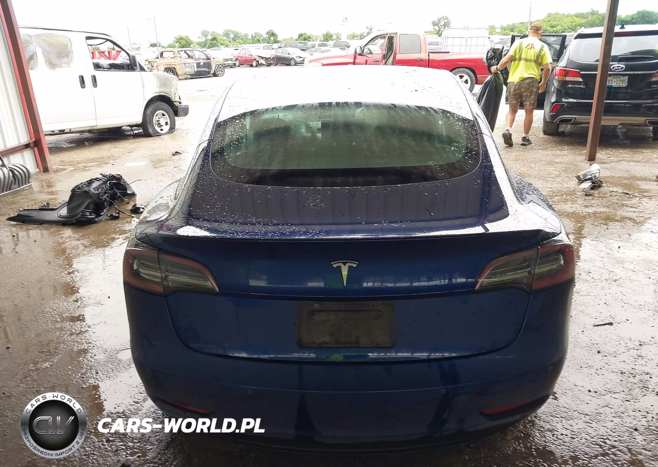 2020 Tesla Model 3 Standard Range Plus Rear-Wheel Drive-Standard Range Rear-Wheel Drive VIN:5YJ3E1EA7LF658328 - 17