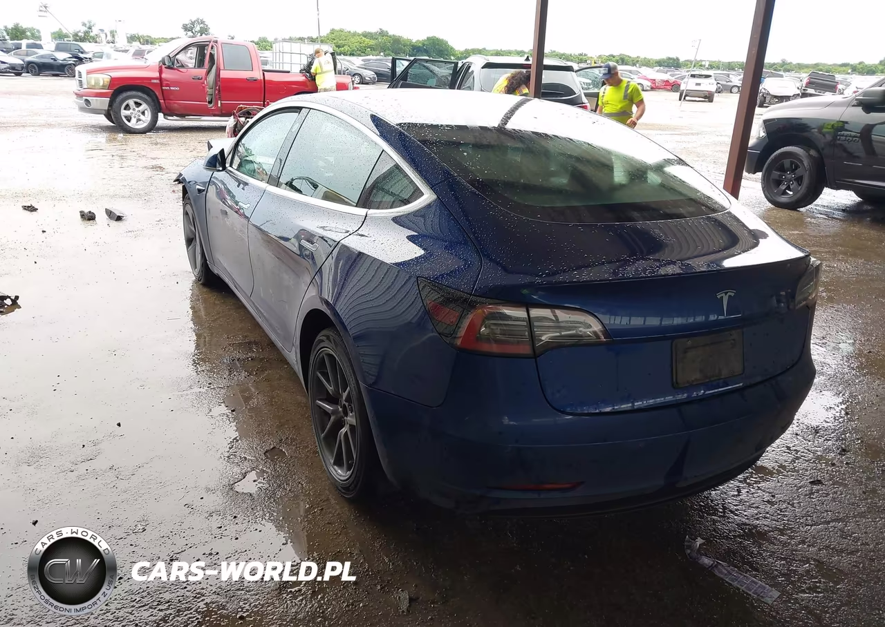 2020 Tesla Model 3 Standard Range Plus Rear-Wheel Drive-Standard Range Rear-Wheel Drive VIN:5YJ3E1EA7LF658328 - 3