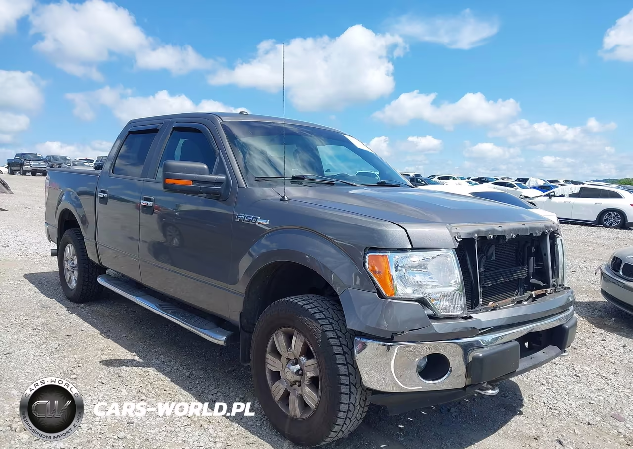 2012 Ford F-150 Fx4-King Ranch-Lariat-Platinum-Xl-Xlt VIN:1FTFW1EF2CKD76865 - 13