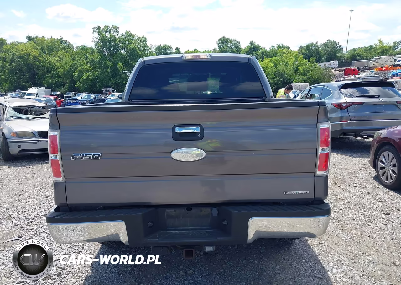 2012 Ford F-150 Fx4-King Ranch-Lariat-Platinum-Xl-Xlt VIN:1FTFW1EF2CKD76865 - 16
