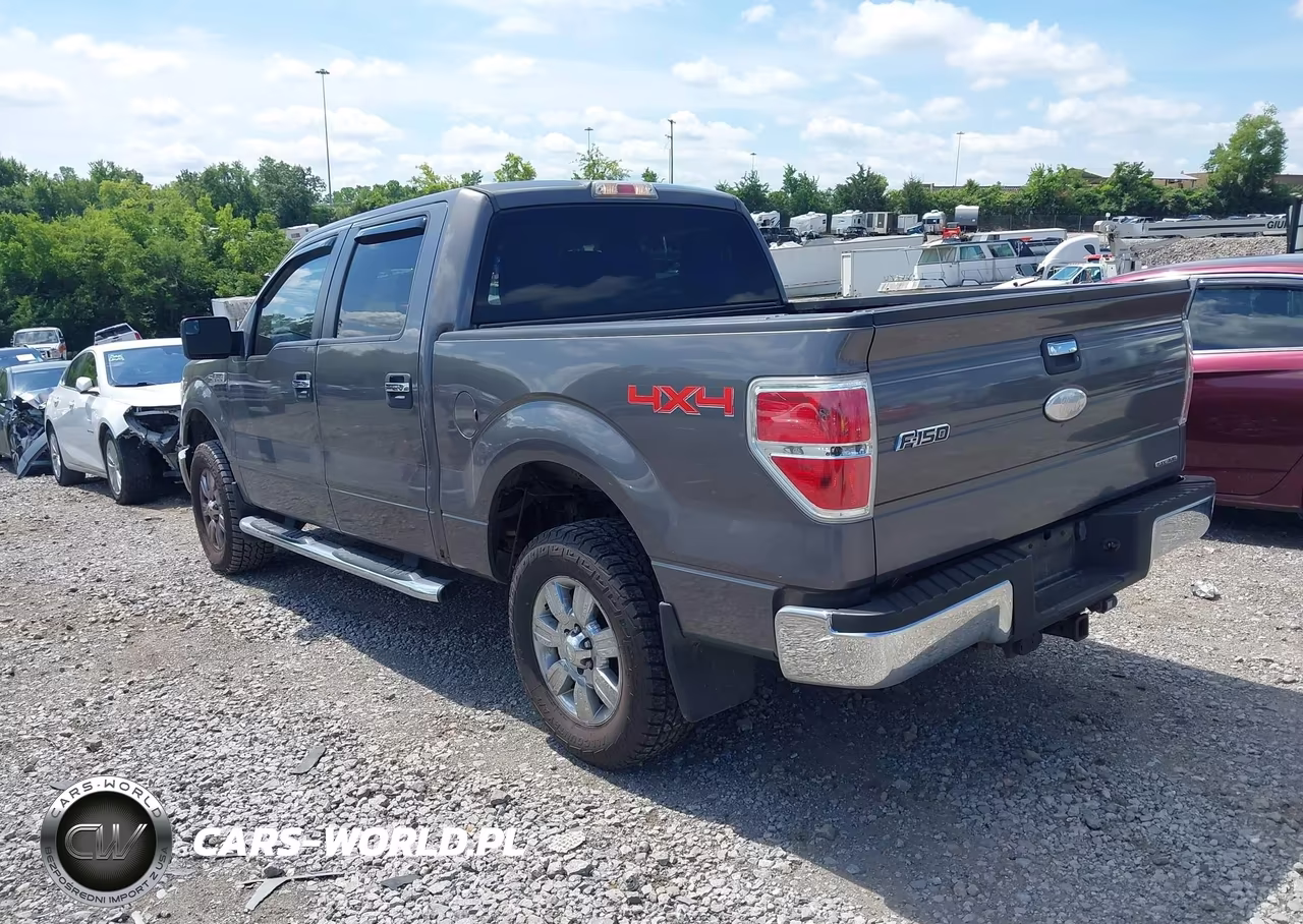 2012 Ford F-150 Fx4-King Ranch-Lariat-Platinum-Xl-Xlt VIN:1FTFW1EF2CKD76865 - 3
