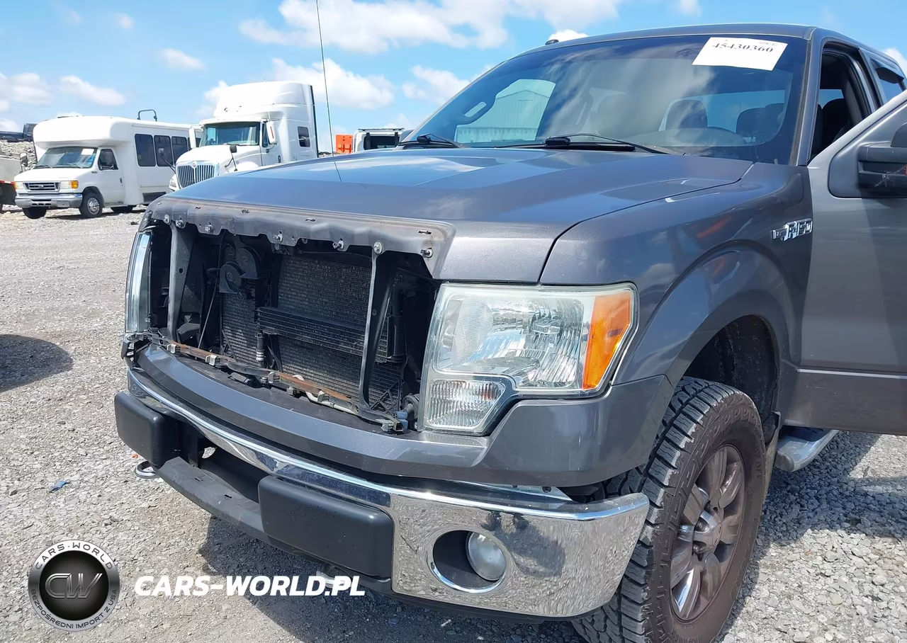 2012 Ford F-150 Fx4-King Ranch-Lariat-Platinum-Xl-Xlt VIN:1FTFW1EF2CKD76865 - 6
