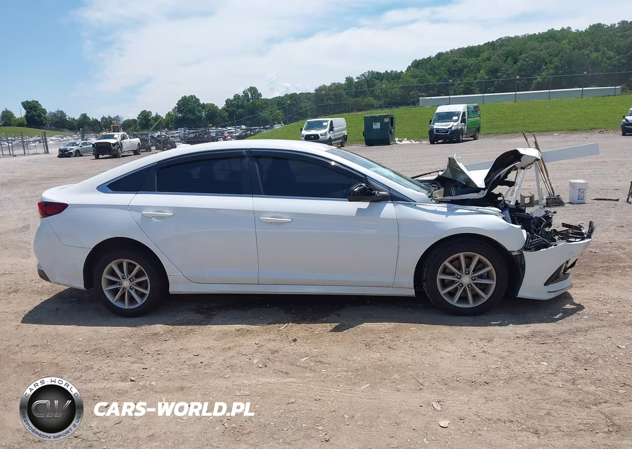 2019 Hyundai Sonata Se VIN:5NPE24AF2KH759698 - 13