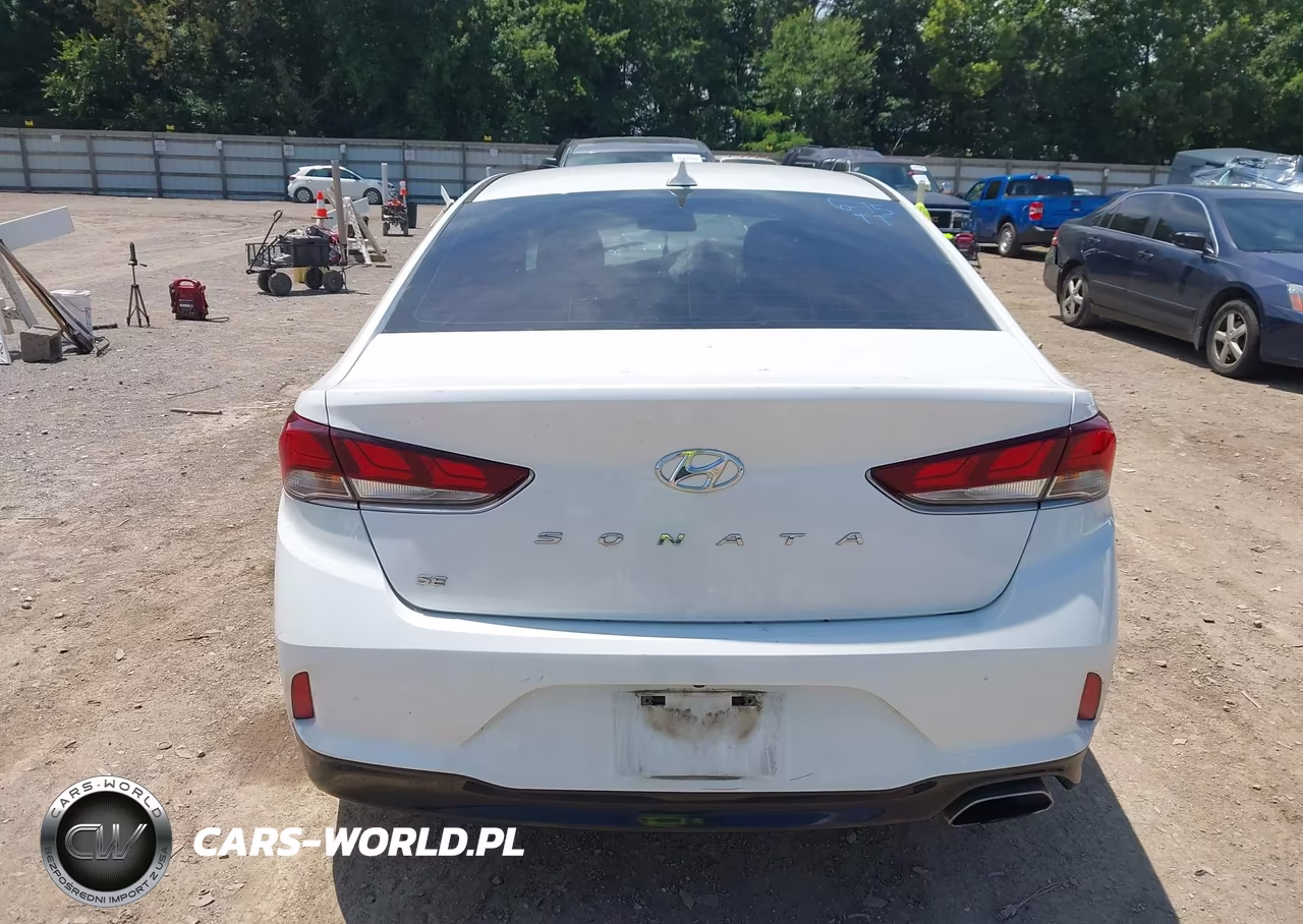 2019 Hyundai Sonata Se VIN:5NPE24AF2KH759698 - 16
